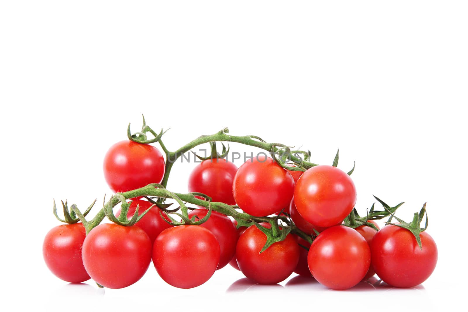 fresh tomatoes on white background