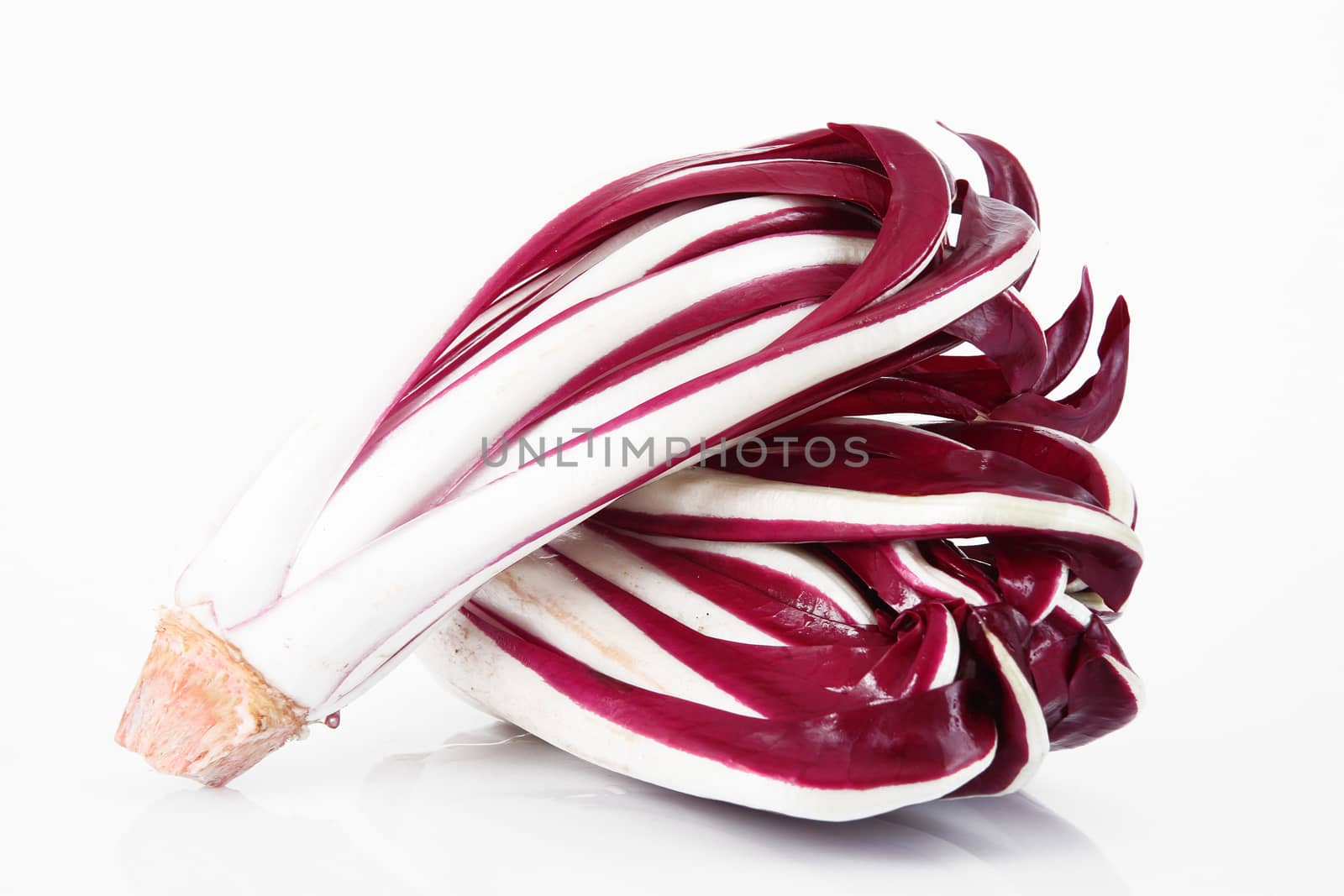 a fresh radicchio salad on white background