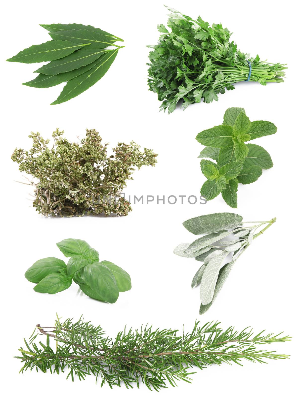 a fresh spices on white background