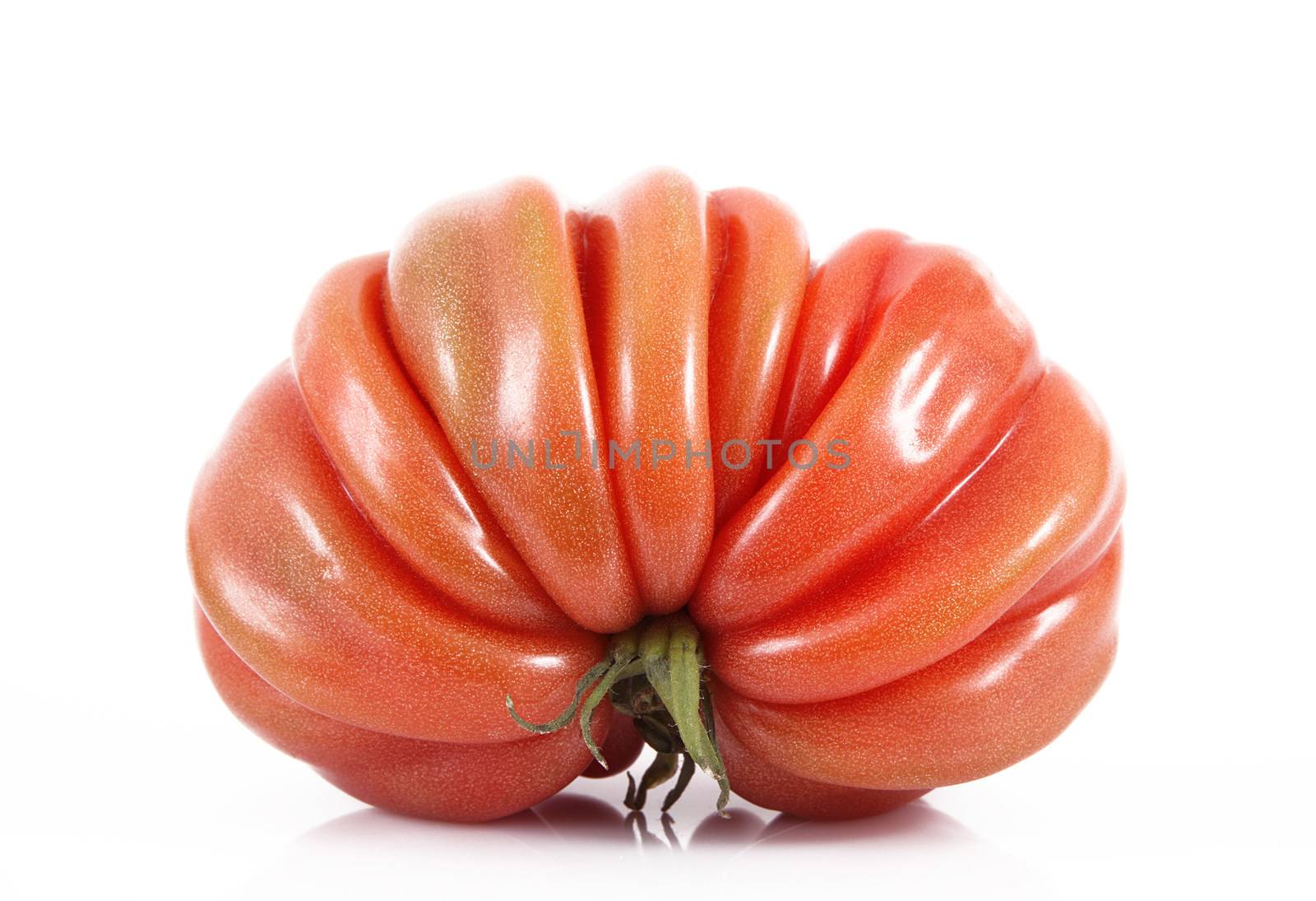 fresh tomato on white background