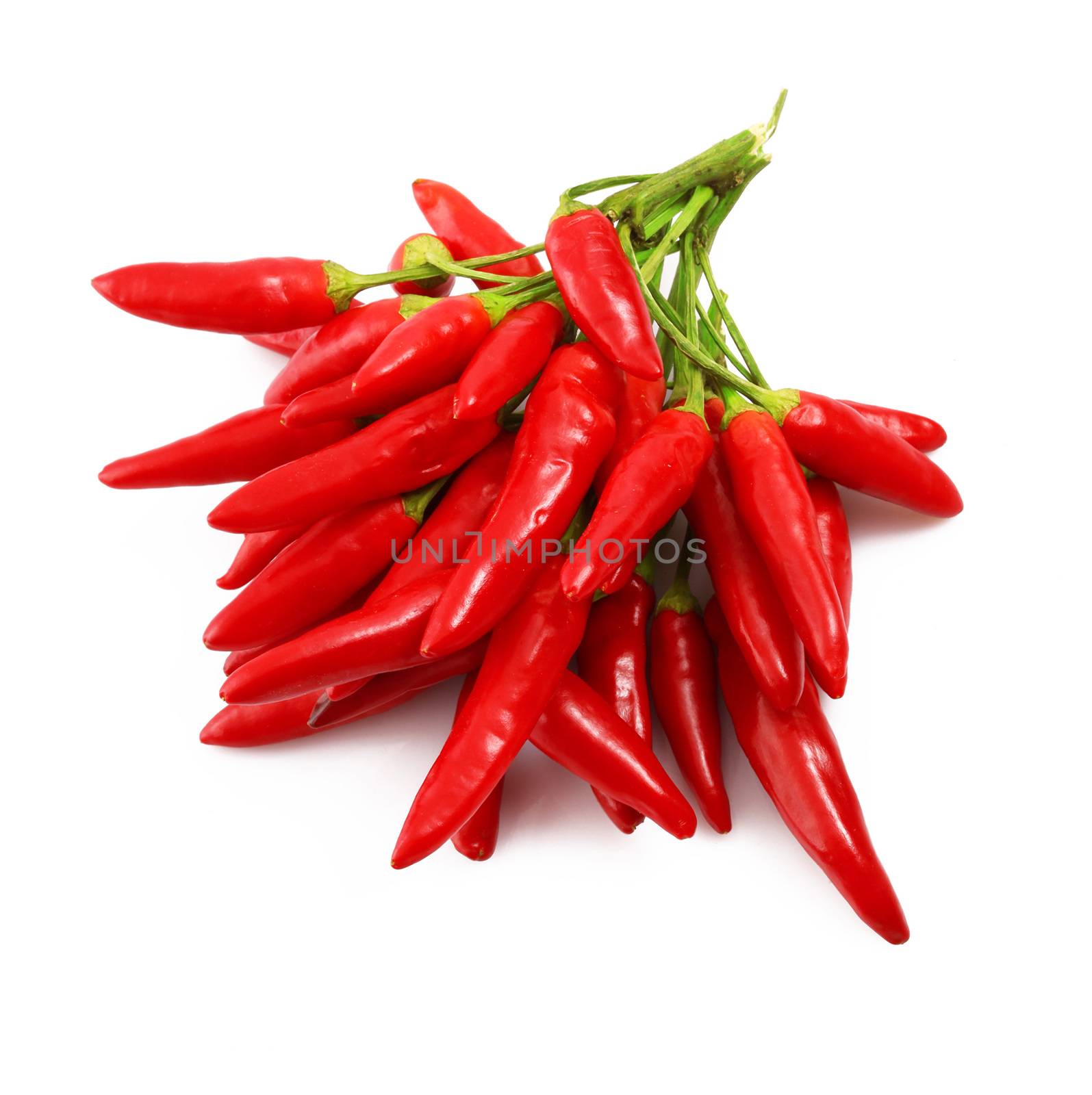 fresh hot peppers on white background