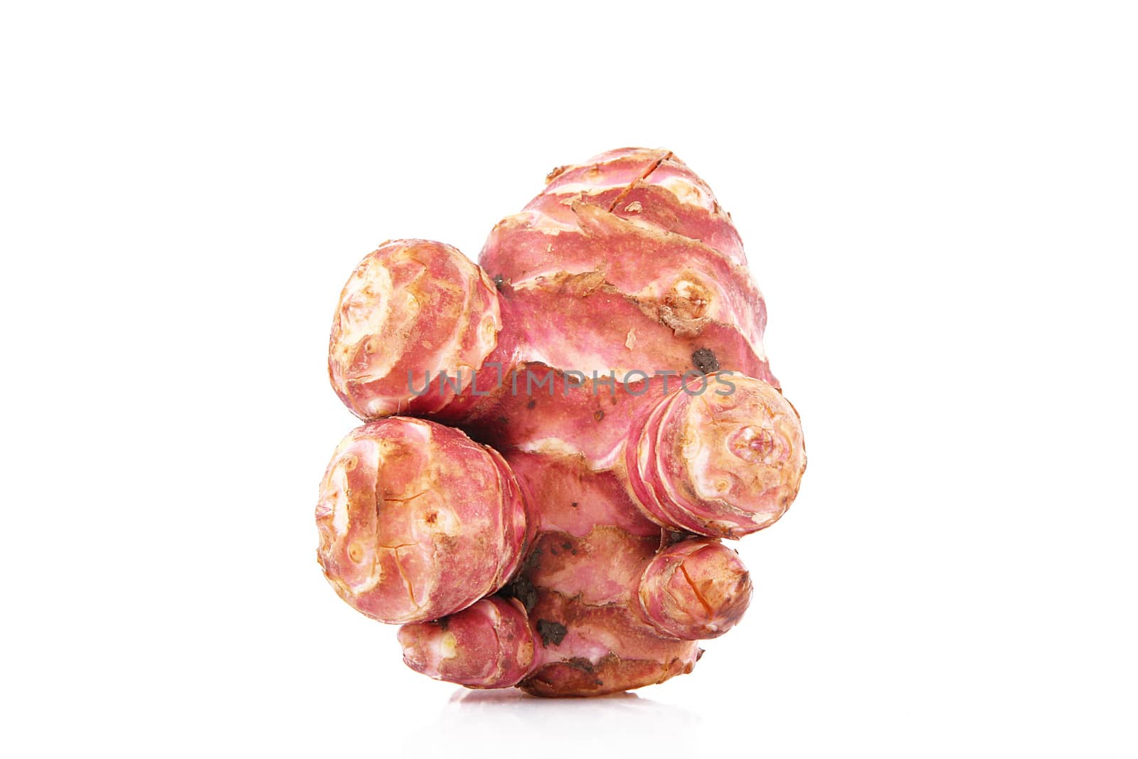 a fresh jerusalem artichoke on white background