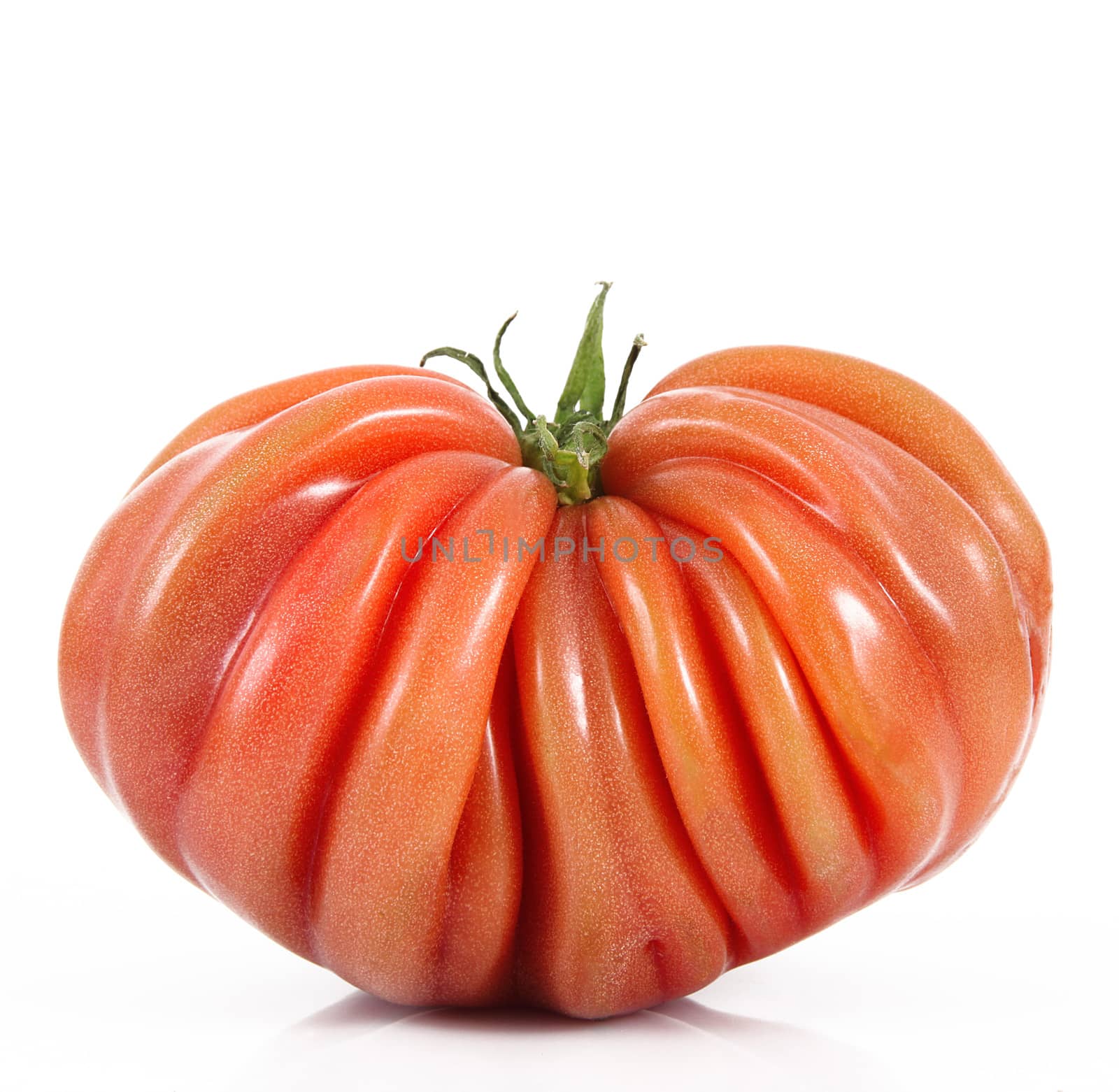 fresh tomato on white background