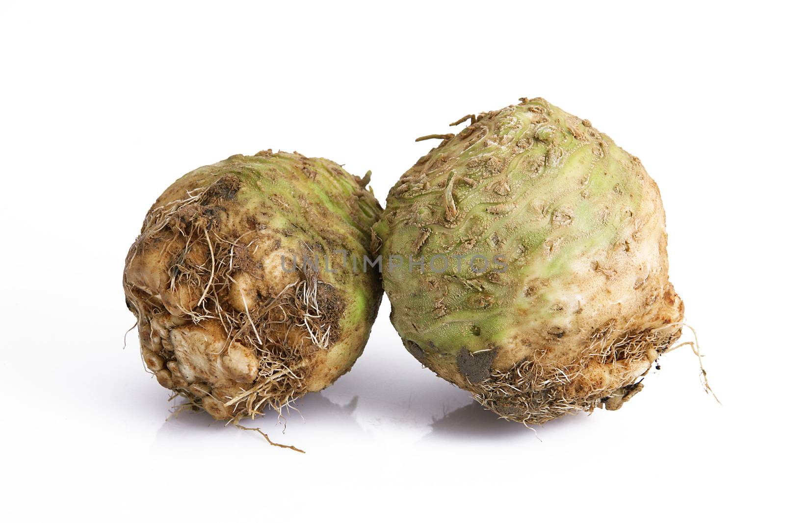 fresh Celery Turnip on white background