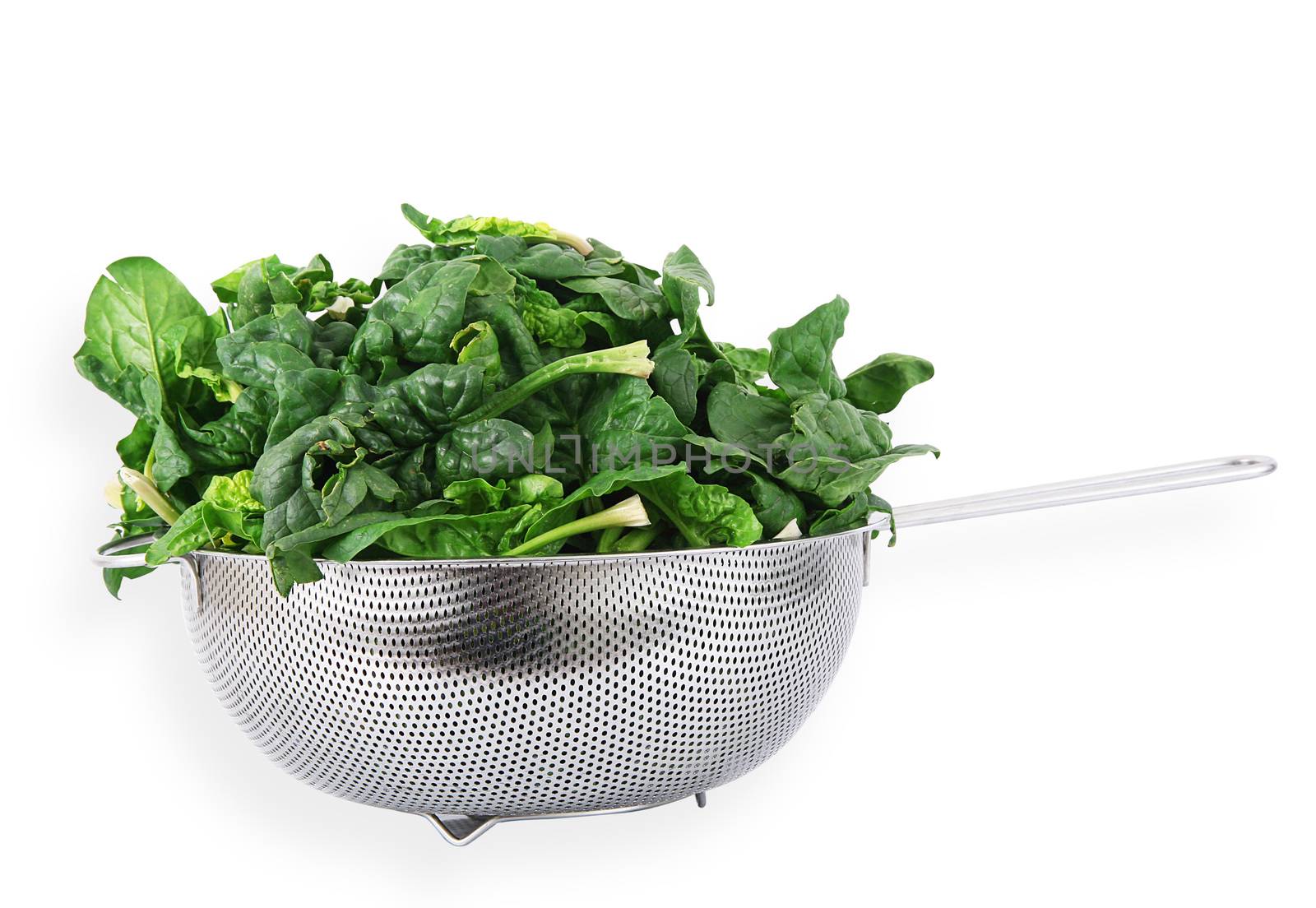 a fresh spinach on white background
