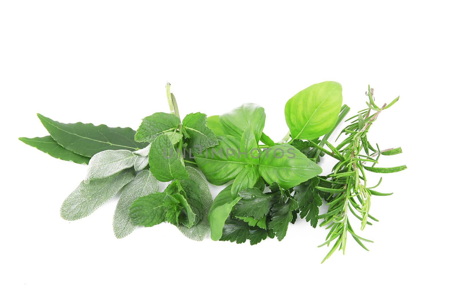 a fresh spices on white background