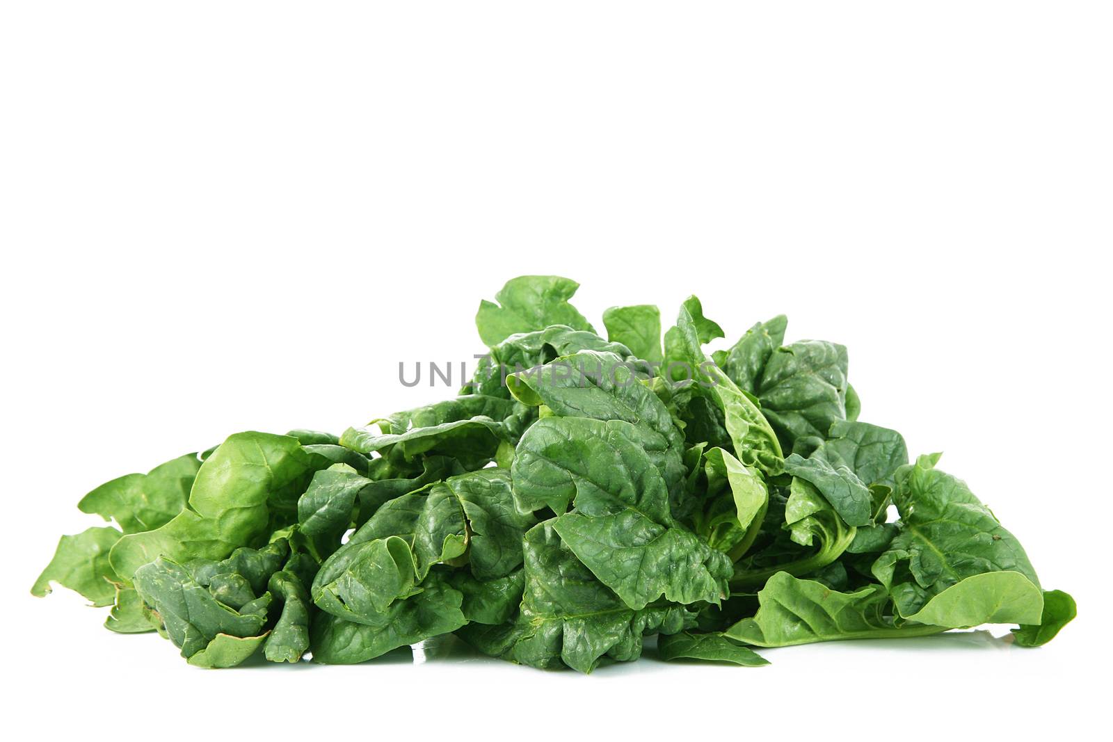 a fresh spinach on white background