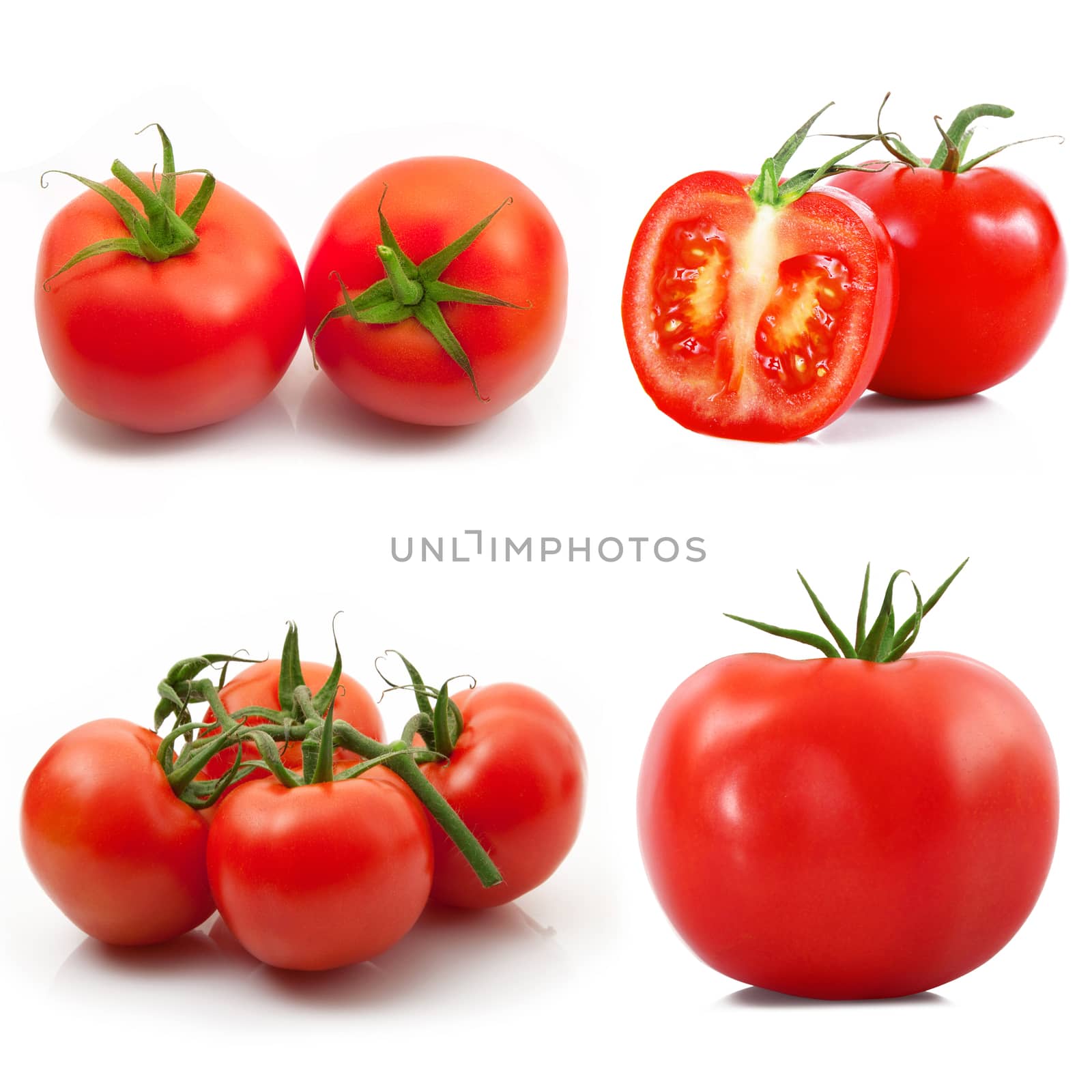 fresh tomatoes on white background
