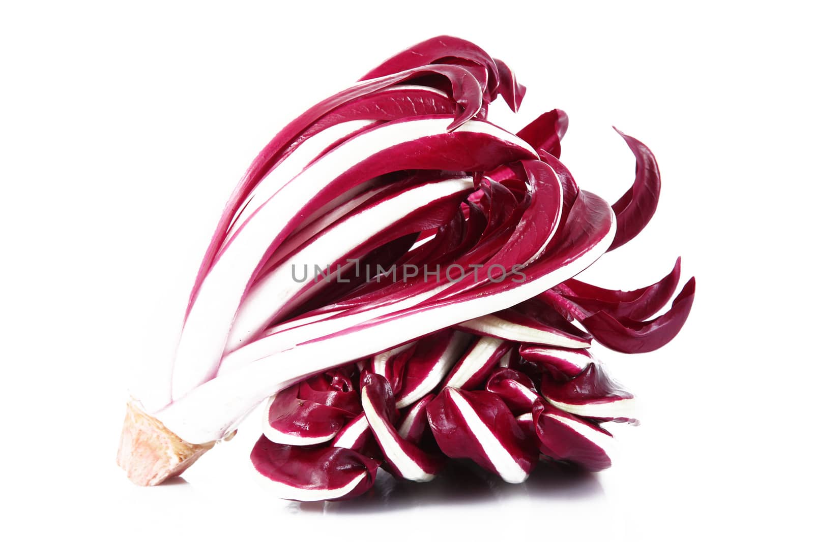 a fresh radicchio salad on white background