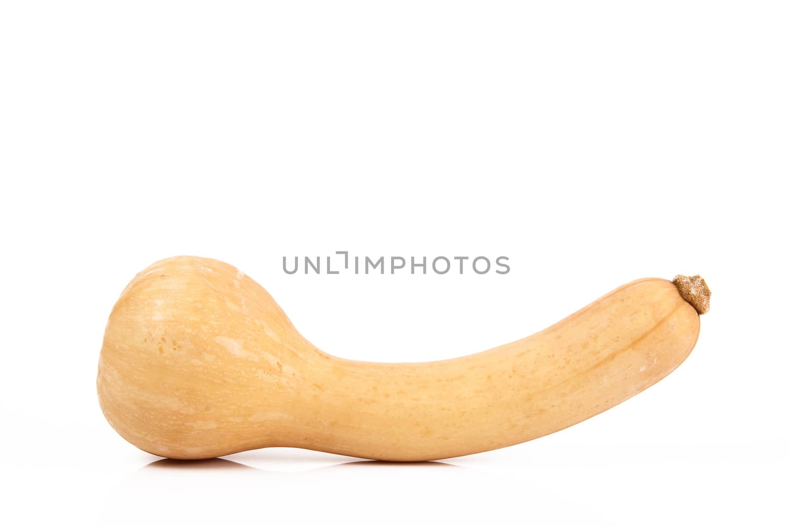 a fresh pumpkin on white background