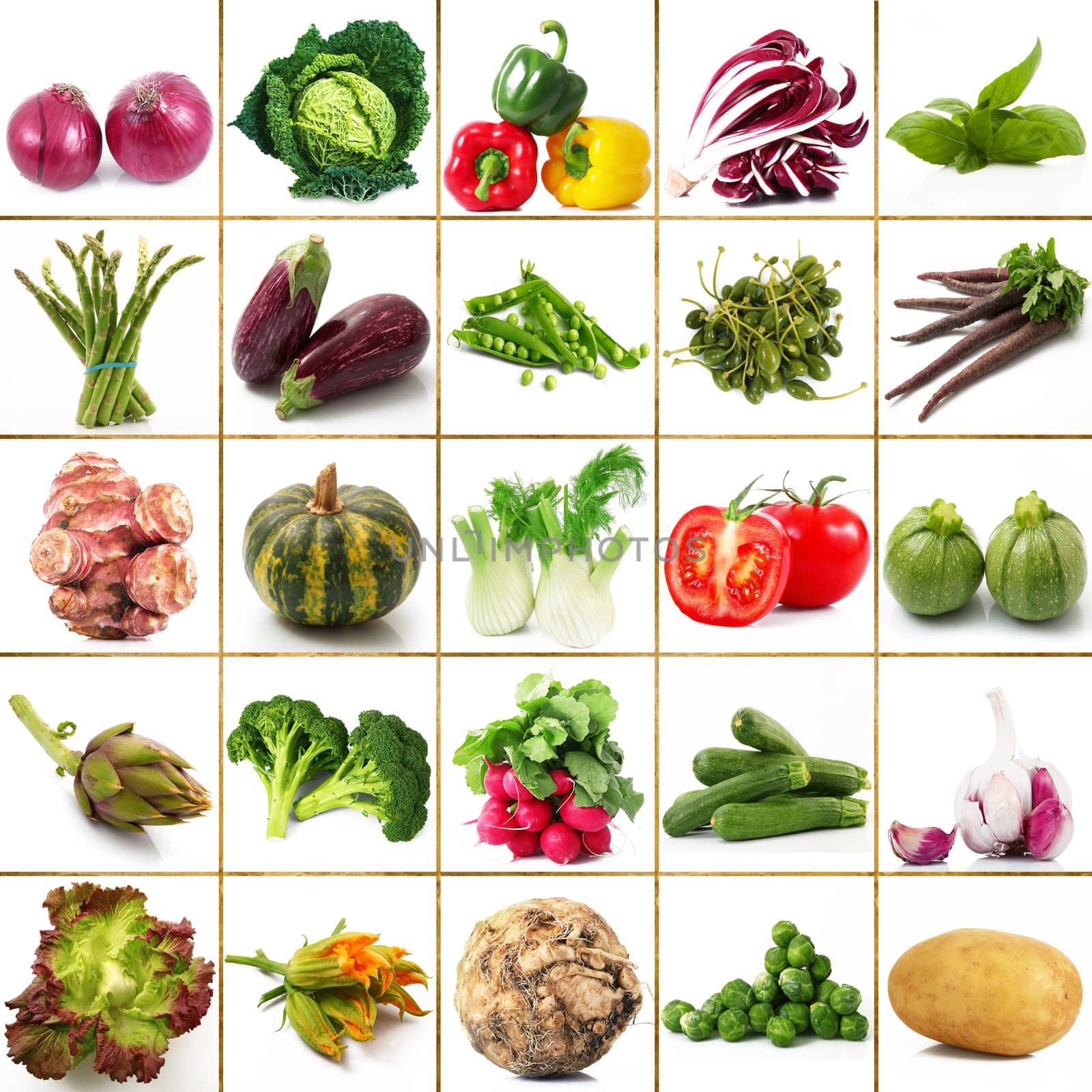 a fresh group of vegetables on white background