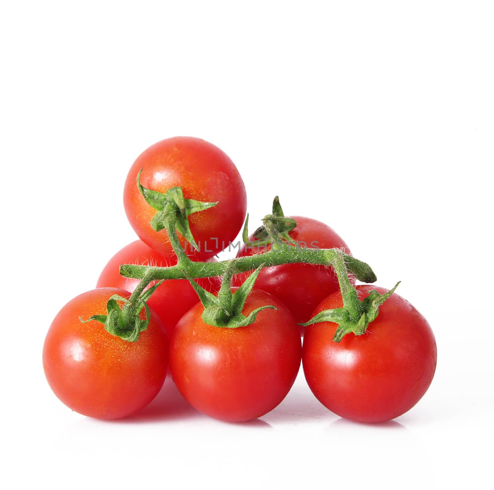 fresh tomatoes on white background