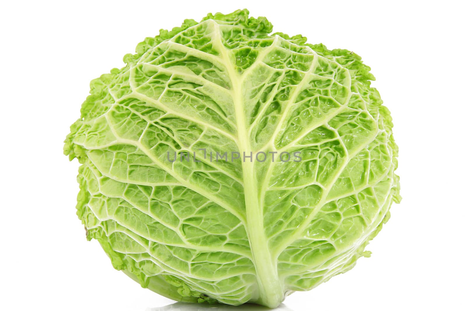 a fresh cabbage on white background