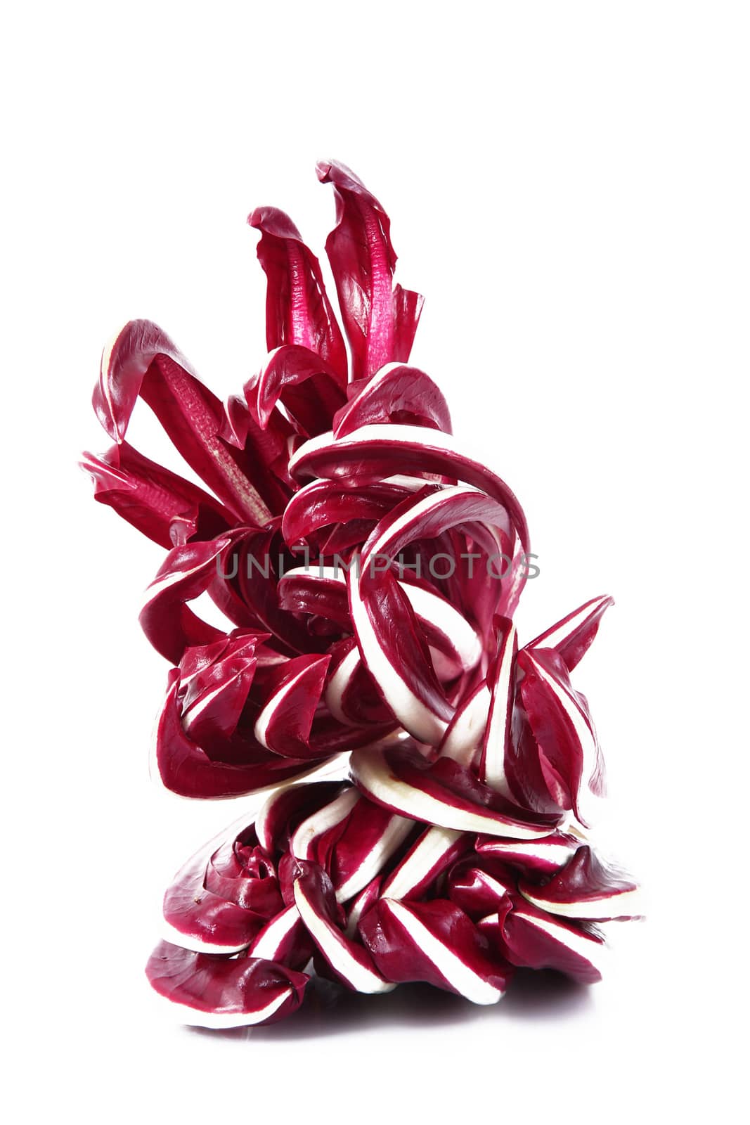 a fresh radicchio salad on white background
