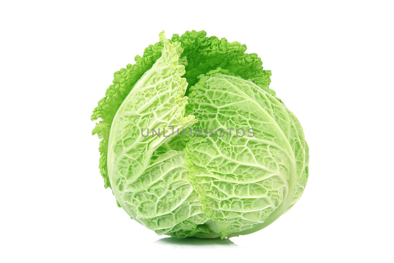 a fresh cabbage on white background

