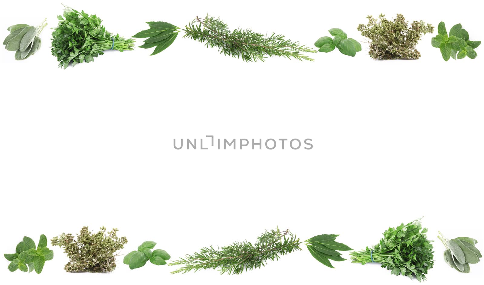 a fresh spices on white background
