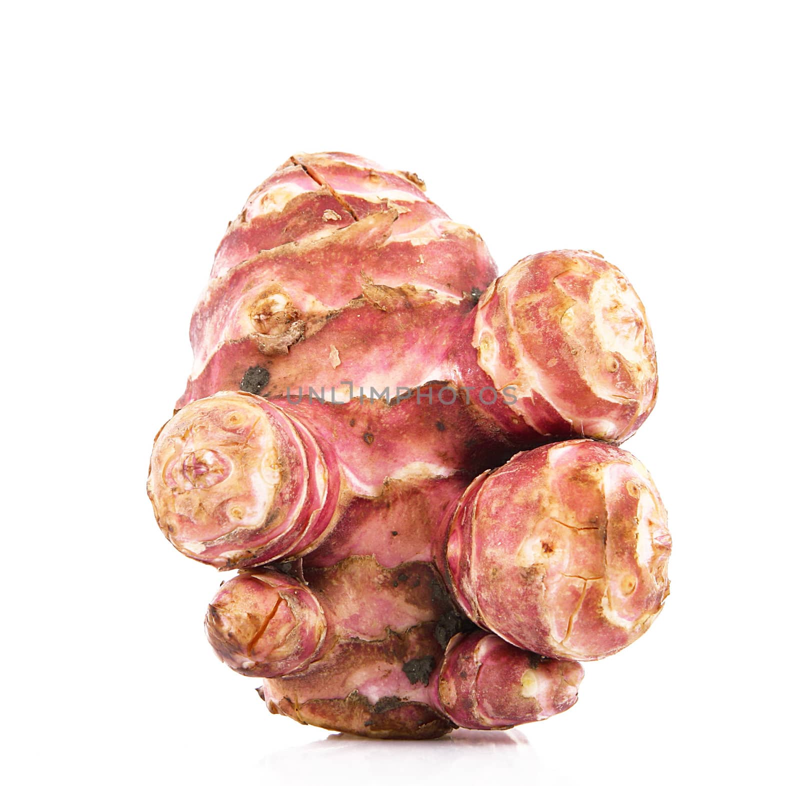 a fresh jerusalem artichoke on white background