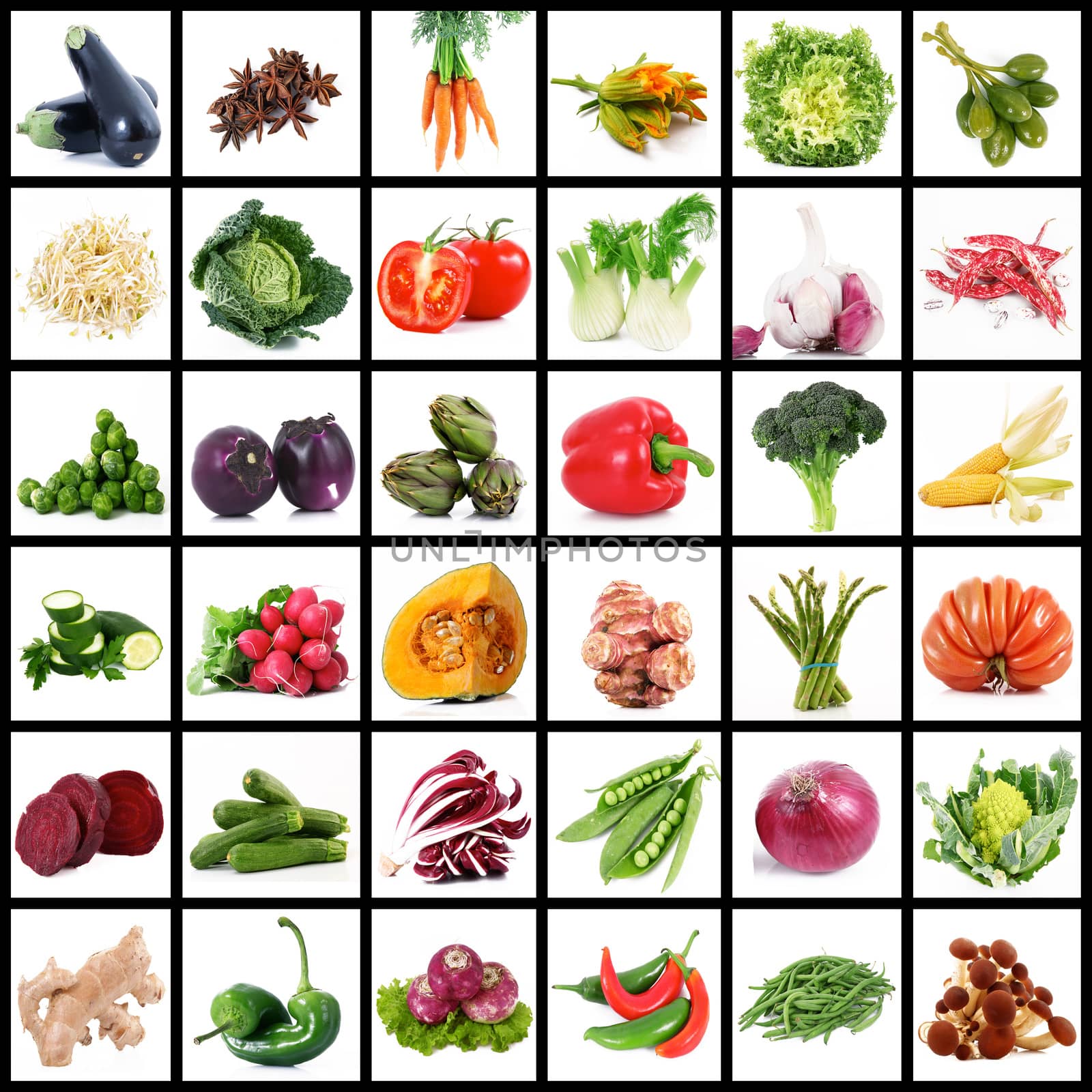 a fresh group of vegetables on white background