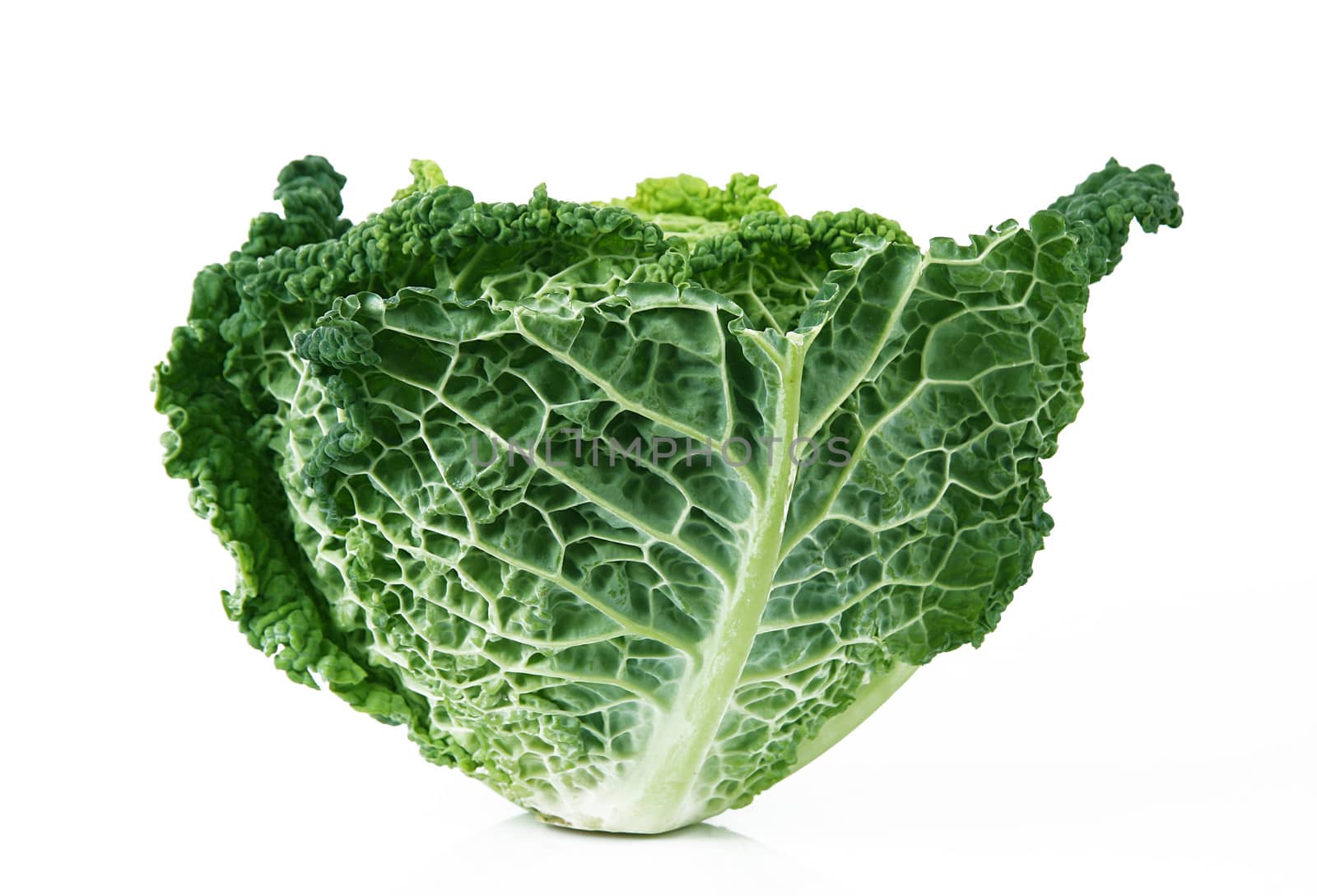 a fresh cabbage on white background