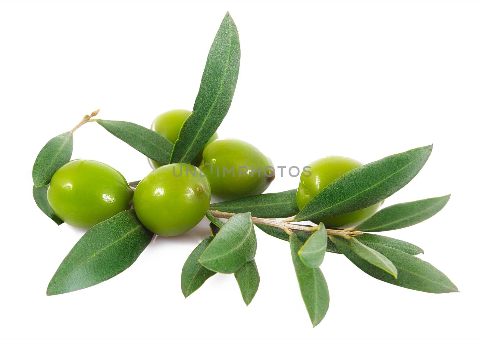 isolated olives on white background
