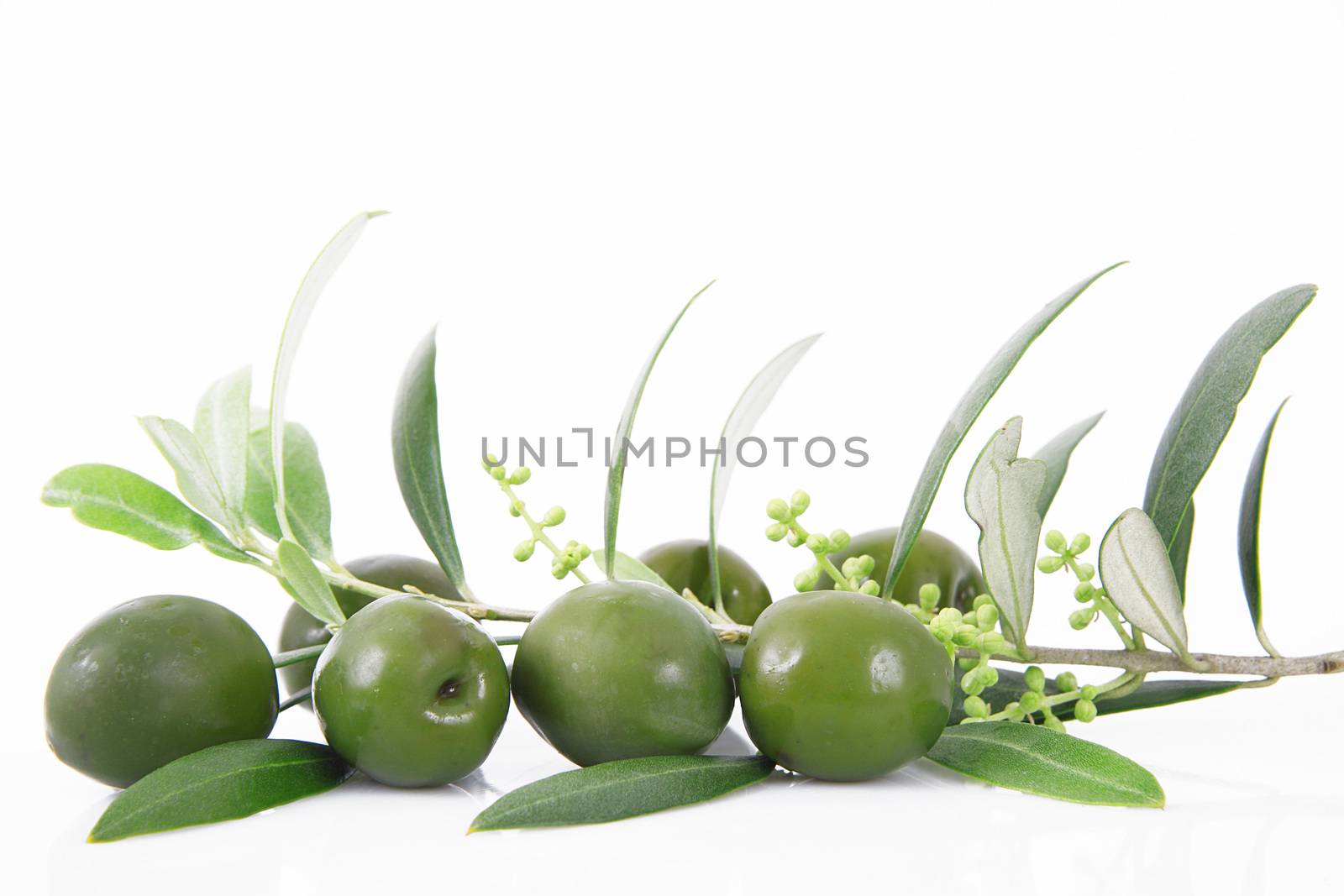 isolated olives on white background