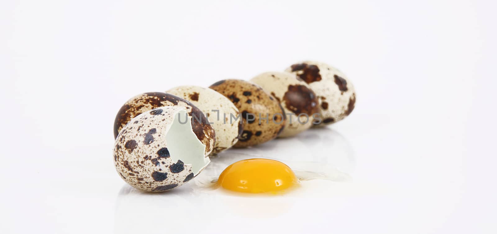 isolated quail eggs on white background