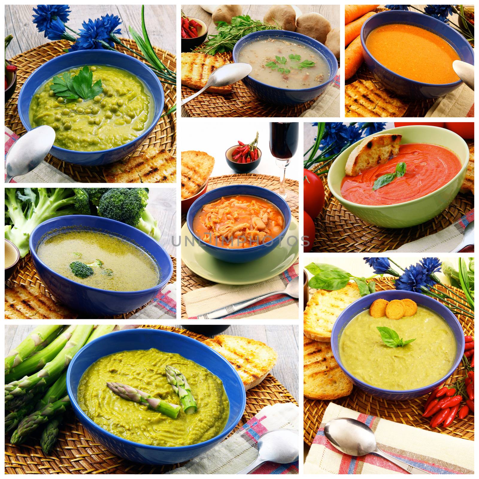 exquisite traditional soup collage with bio ingredients