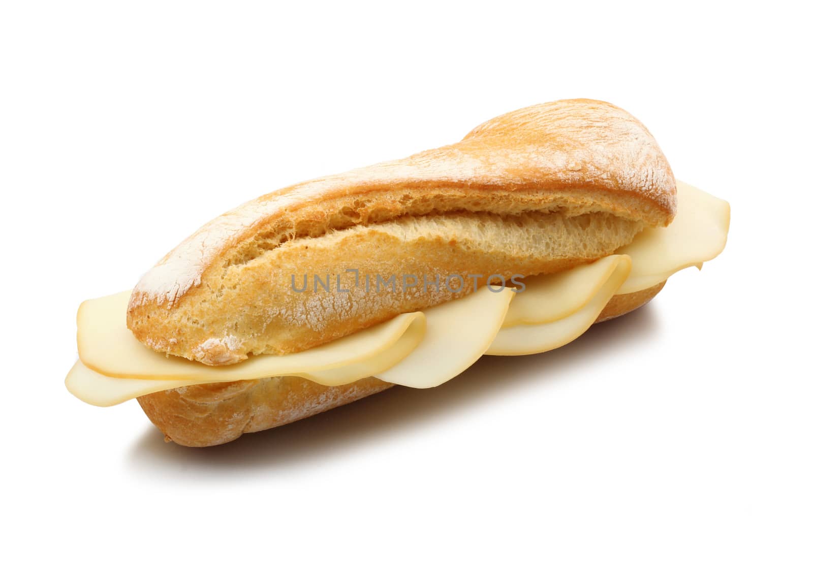 sandwich with cheese on white background