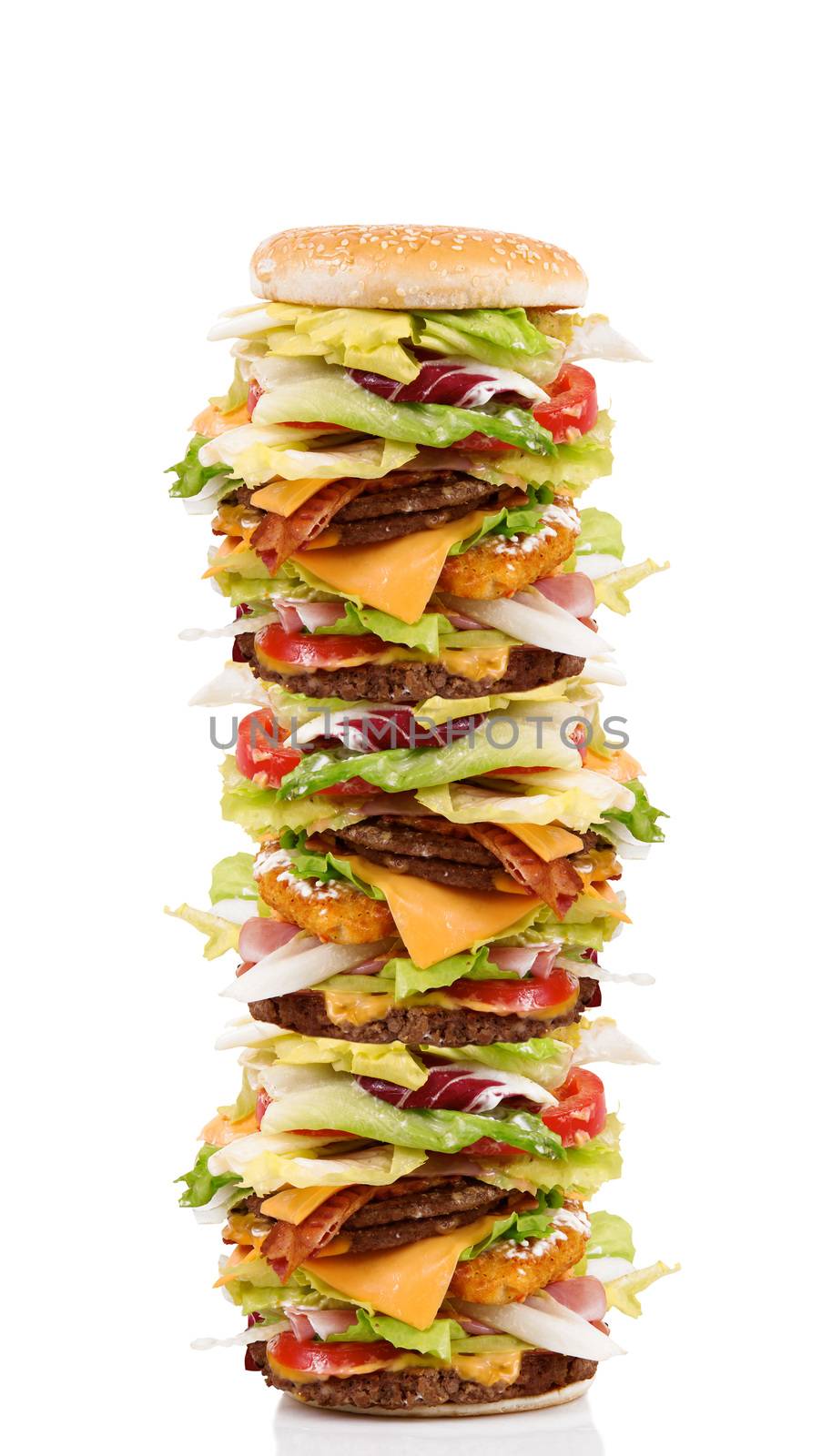 very big sandwich with salade and hamburger