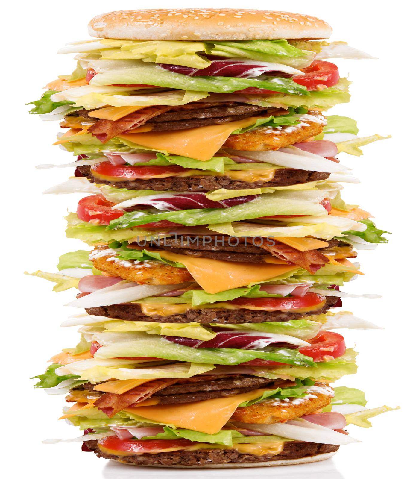 very big sandwich with salade and hamburger