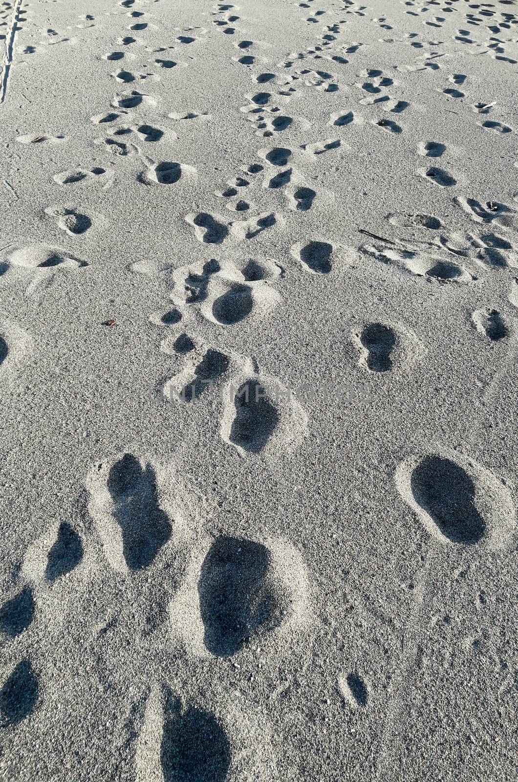 Many footsteps on a sandy beach by marcorubino