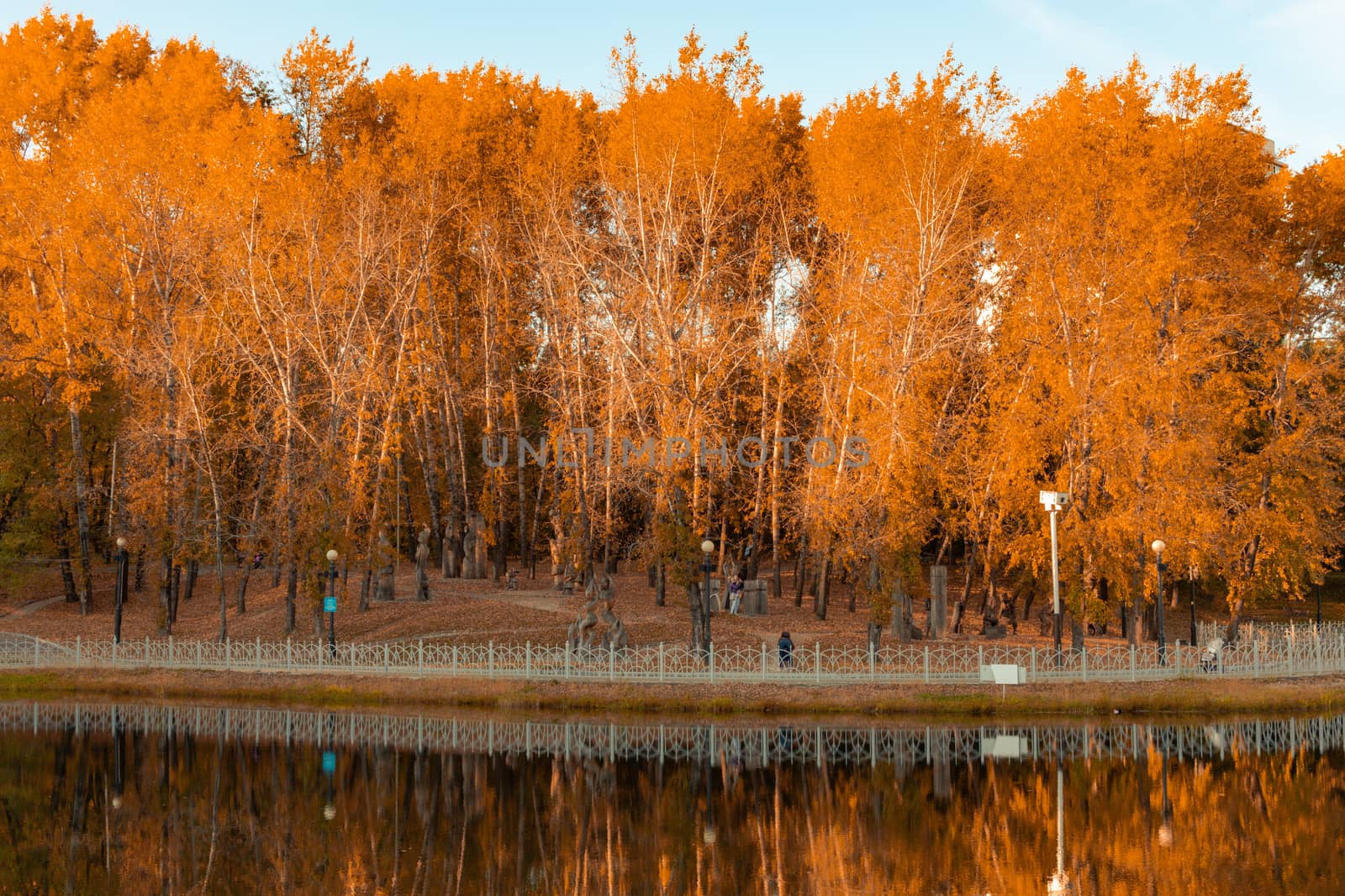 City ponds in the autumn. Trees covered with yellow and orange leaves are reflected in the water. Blue sky.