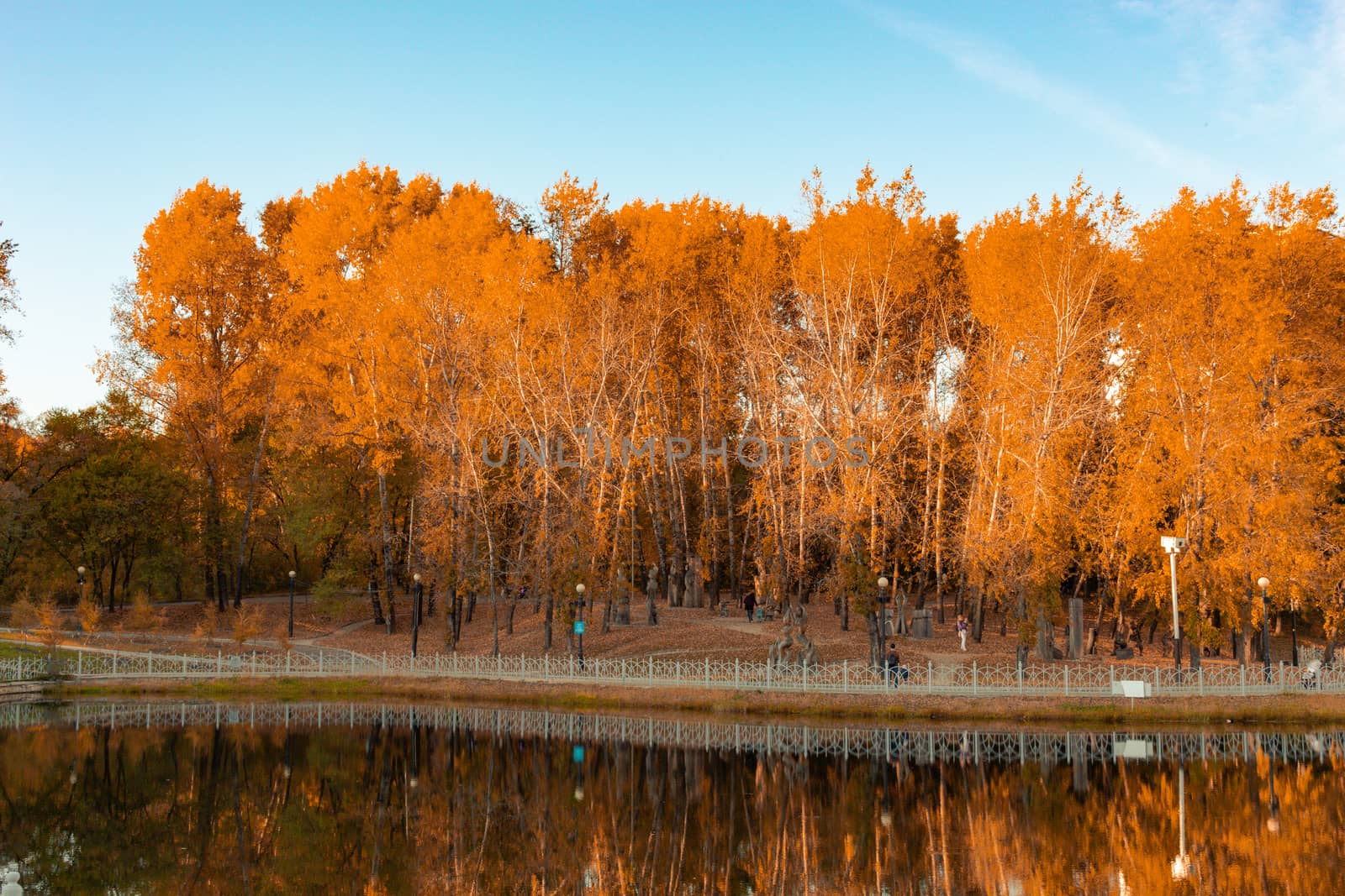 City ponds in the autumn. Trees covered with yellow and orange leaves are reflected in the water. Blue sky.