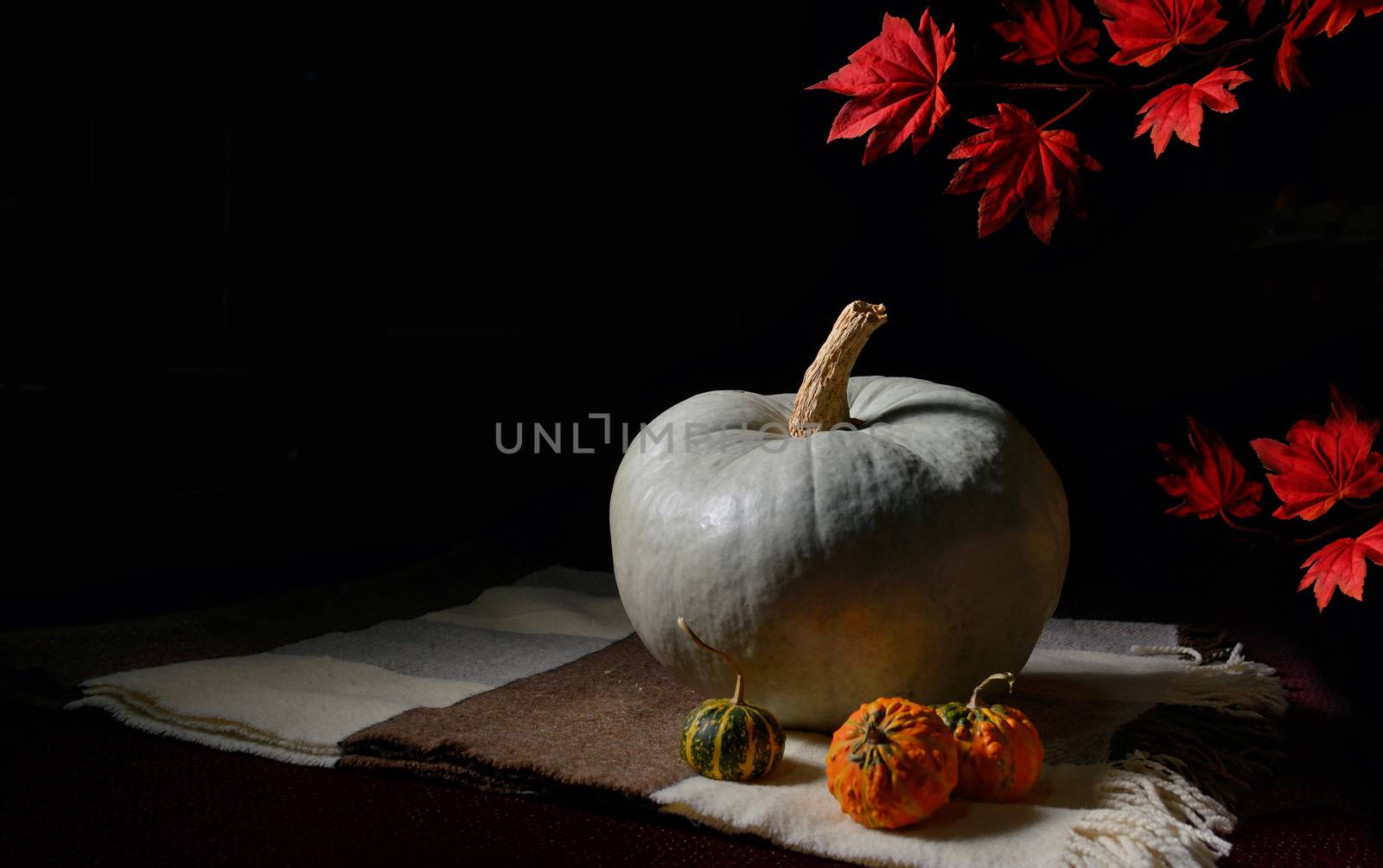 raw pumpkin on rustic carpet on black background