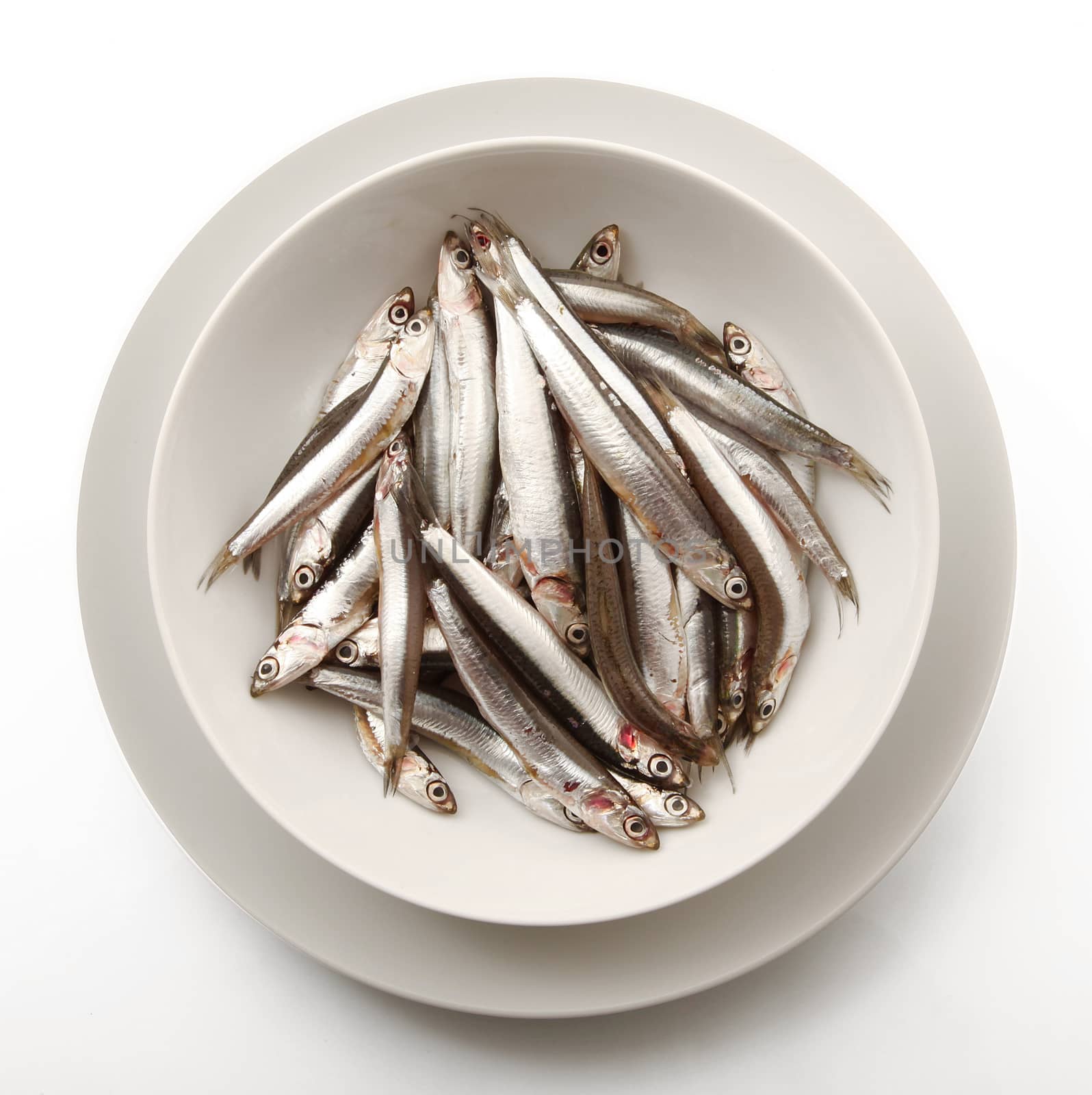 dish of fresh anchovies on white background