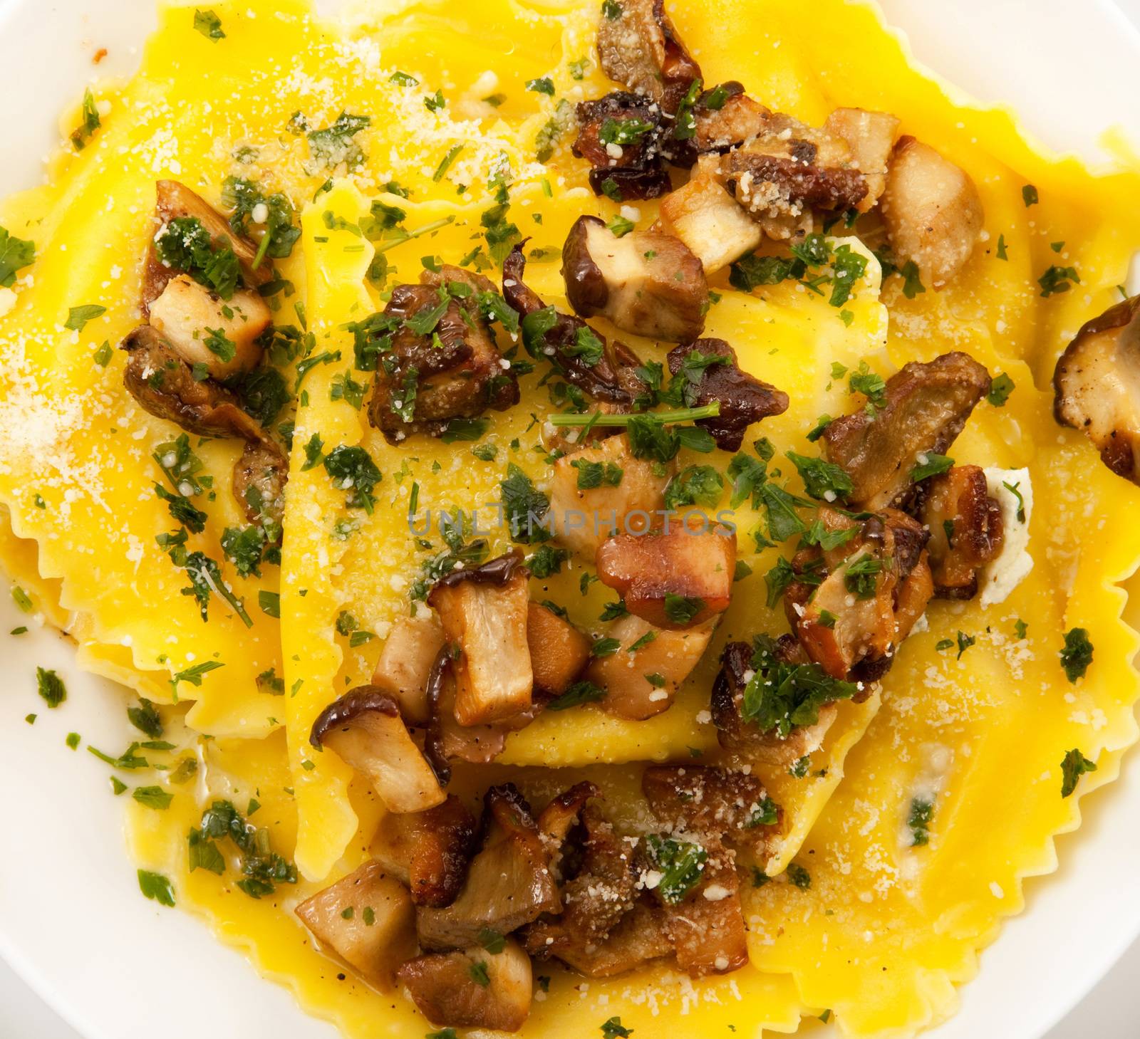 original italian tortelloni with mushroom