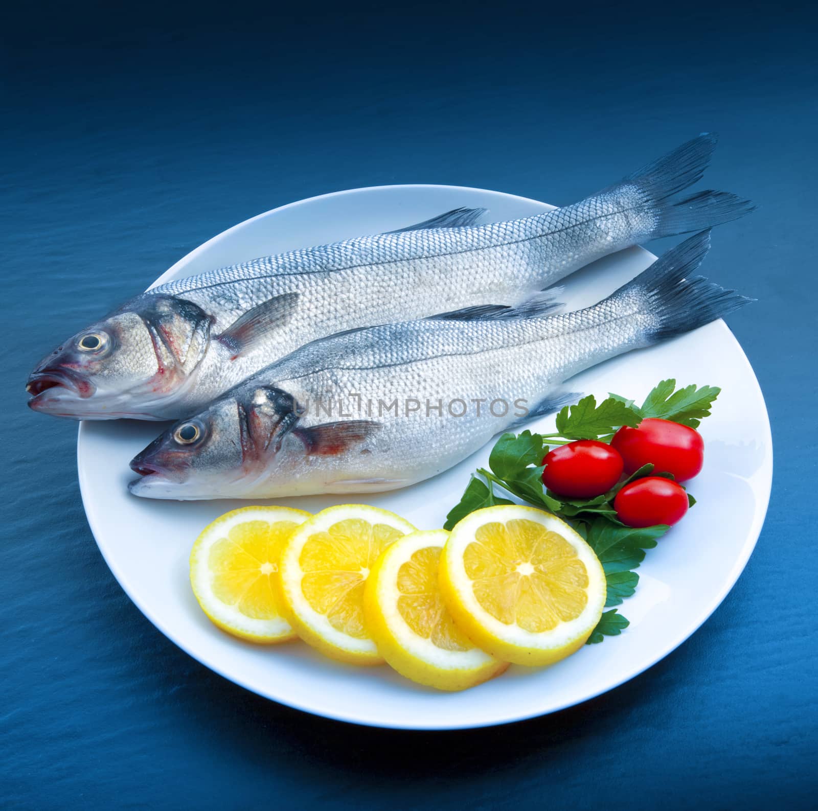 isolated fresh bass dish on stone background