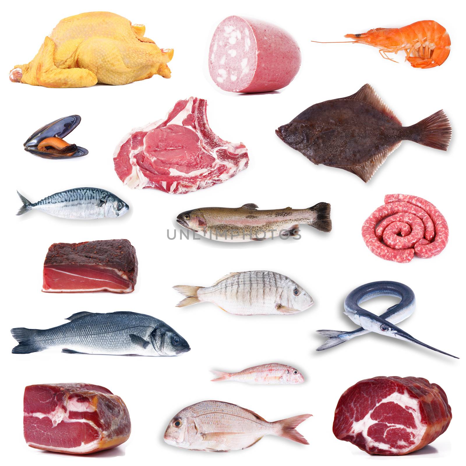 miscellanous food collage on white background