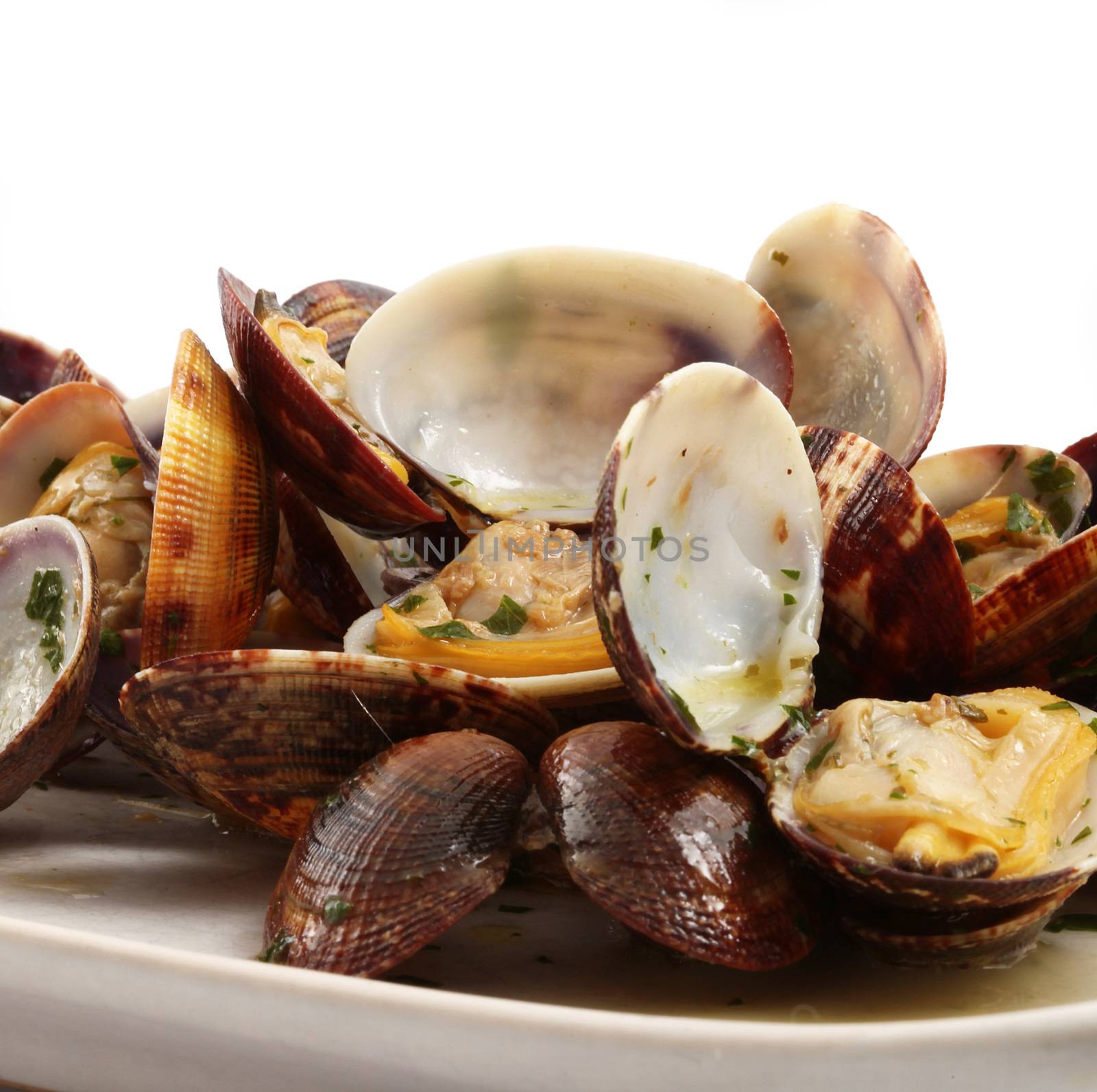 isolated clams dish on white background