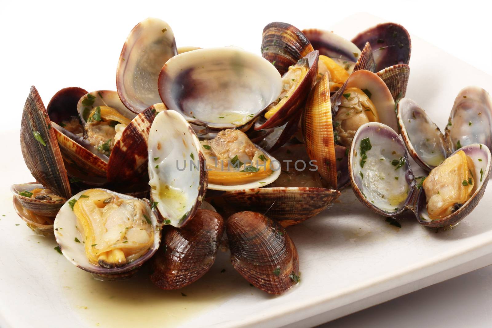 isolated clams dish on white background