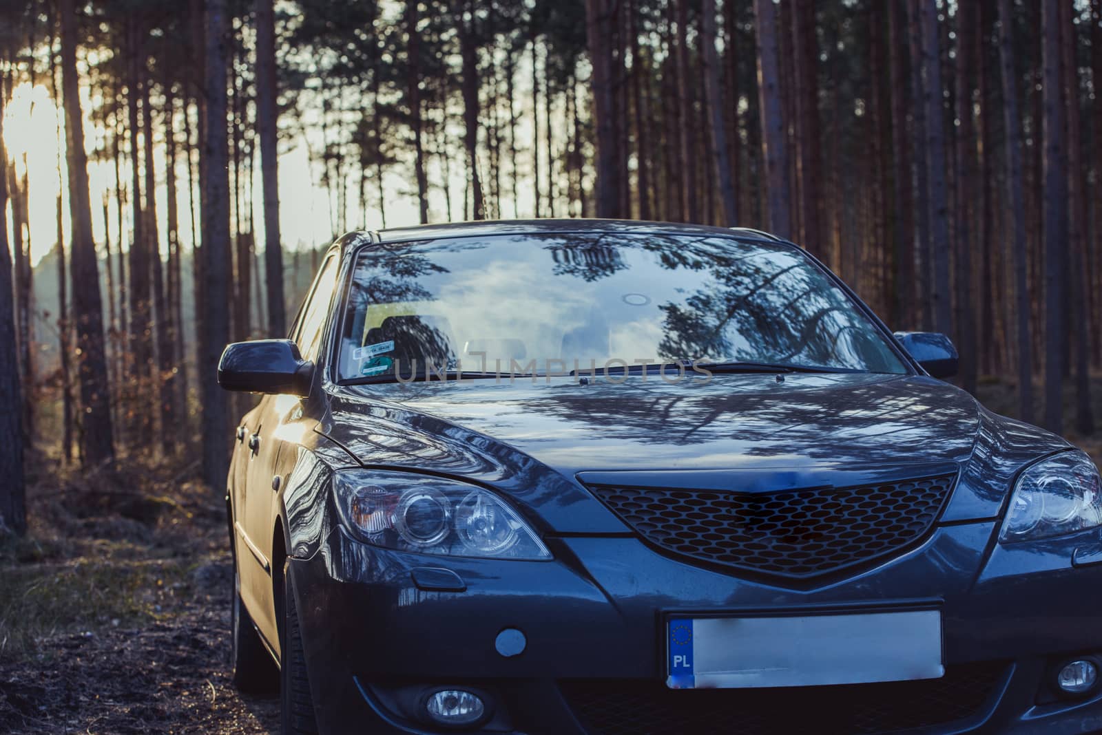 Gray hatchback car parked next to the wood
