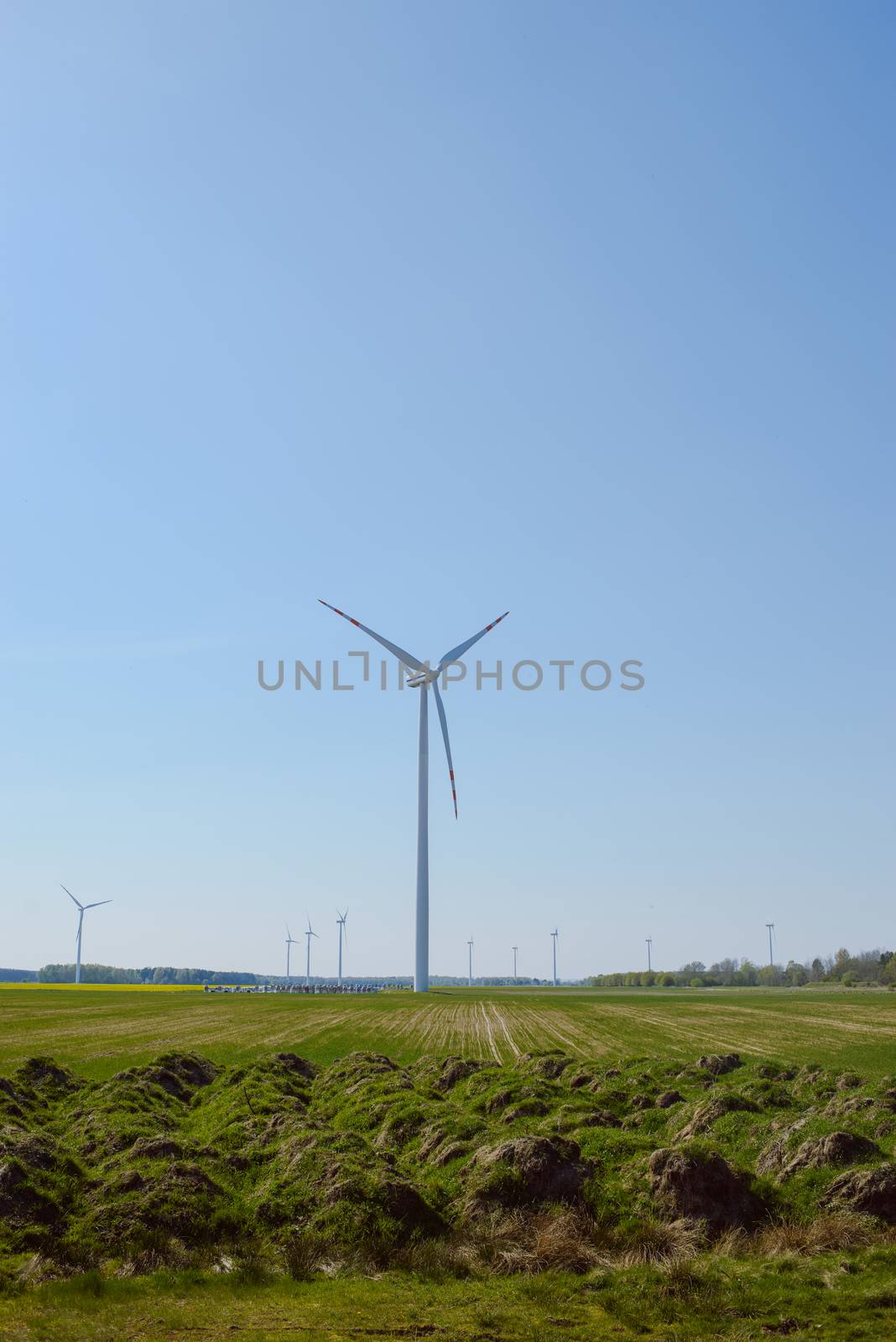 Bright blue sky moving and wind turbine.