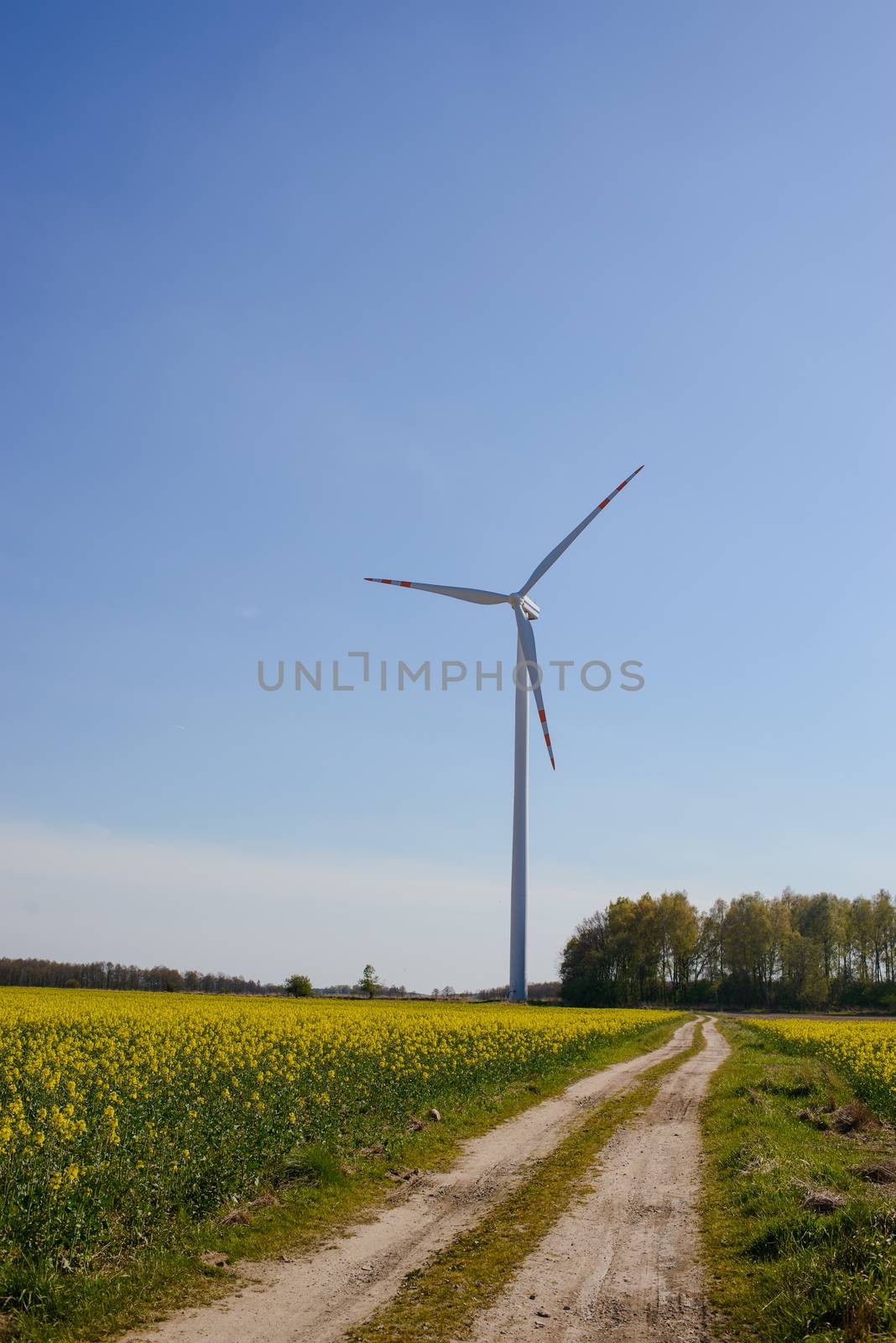 Bright blue sky moving and wind turbine.
