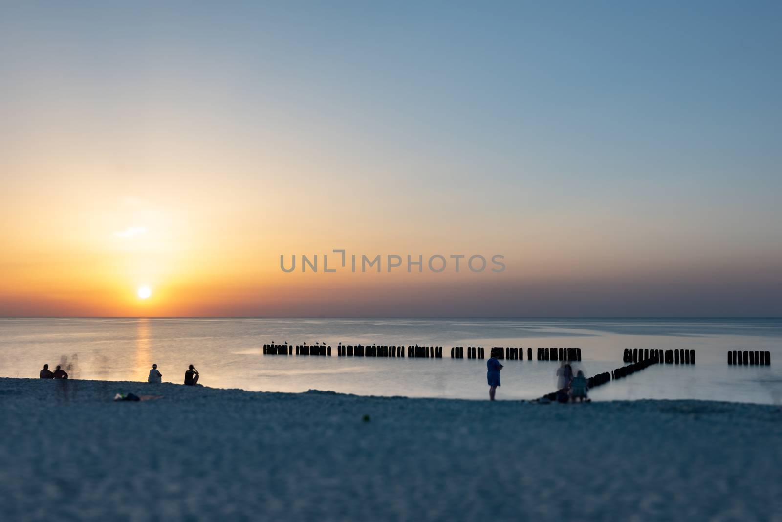 A photograph of wooden breakwater and seagulls at sunset on the Baltic Sea