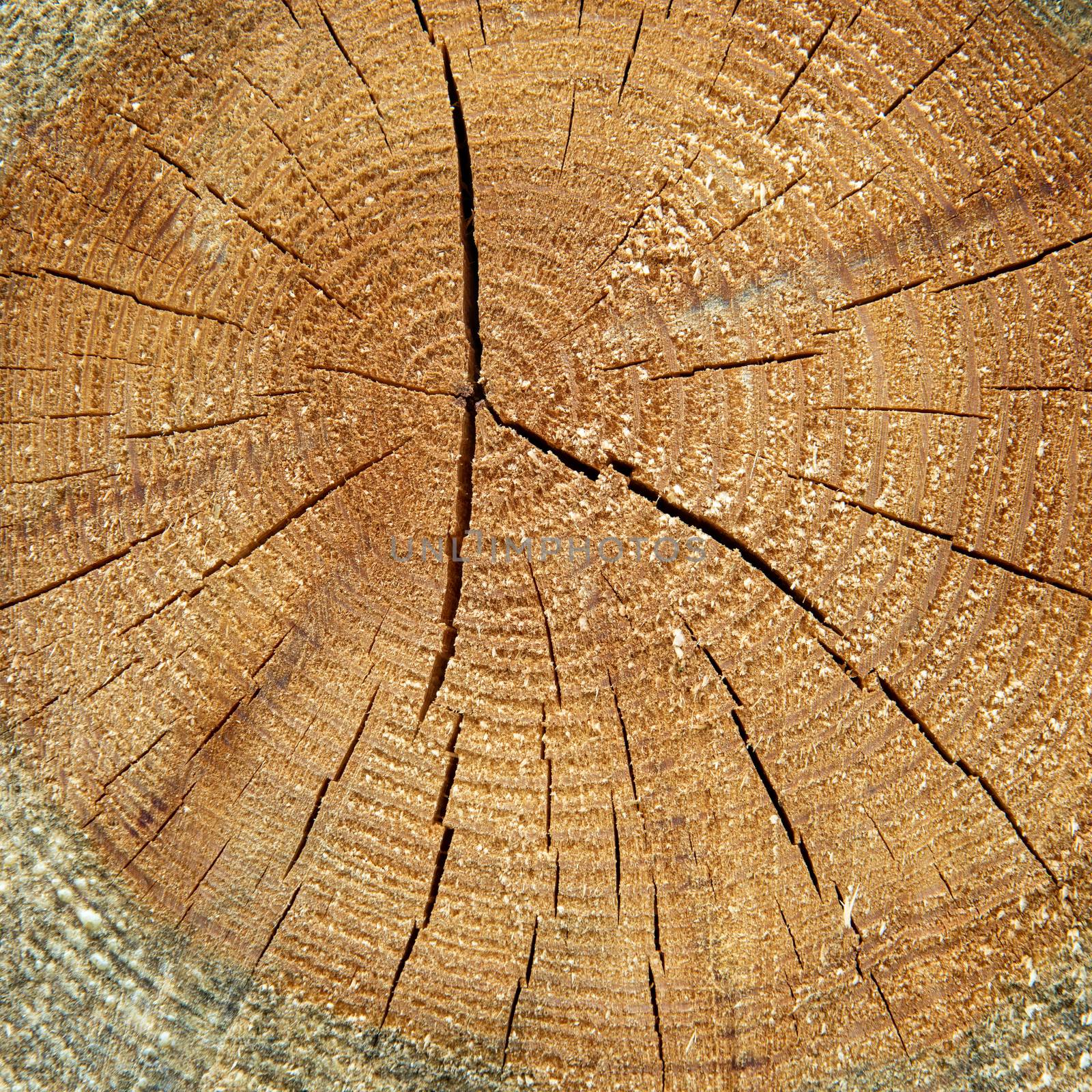 Background of dry chopped firewood logs stacked up on top of each other in a pile.