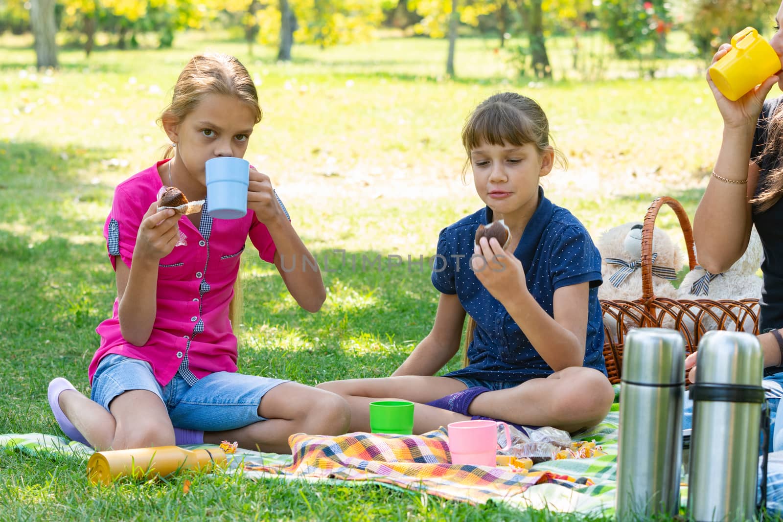 Family drinks tea at a picnic, thermoses with water are standing nearby