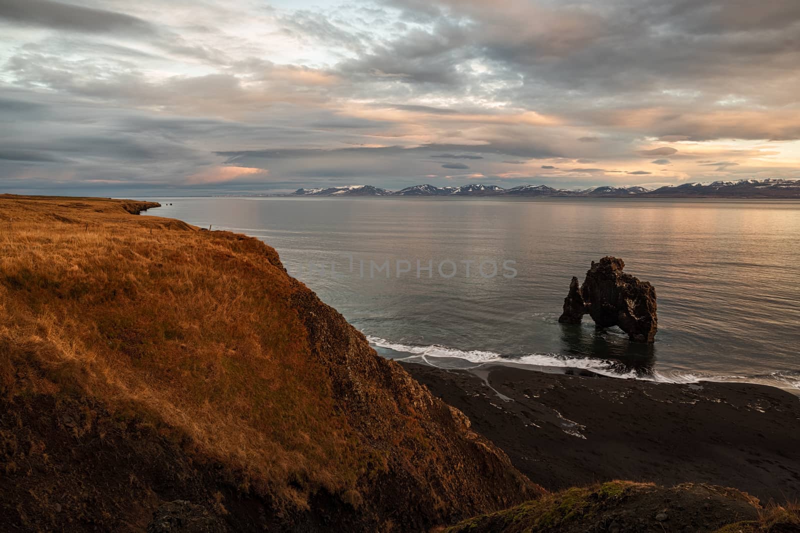 Hvitserkur the famous rock in the ocean in Iceland at sunrise