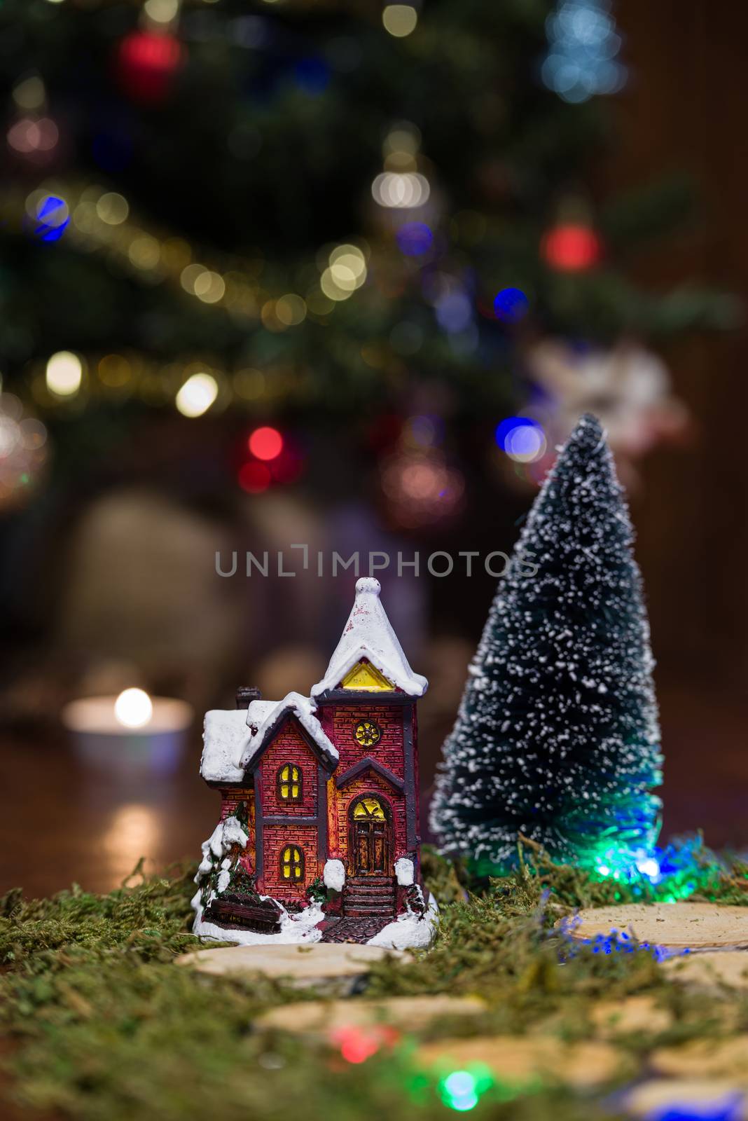 Close up of house and tree in the presepio scene