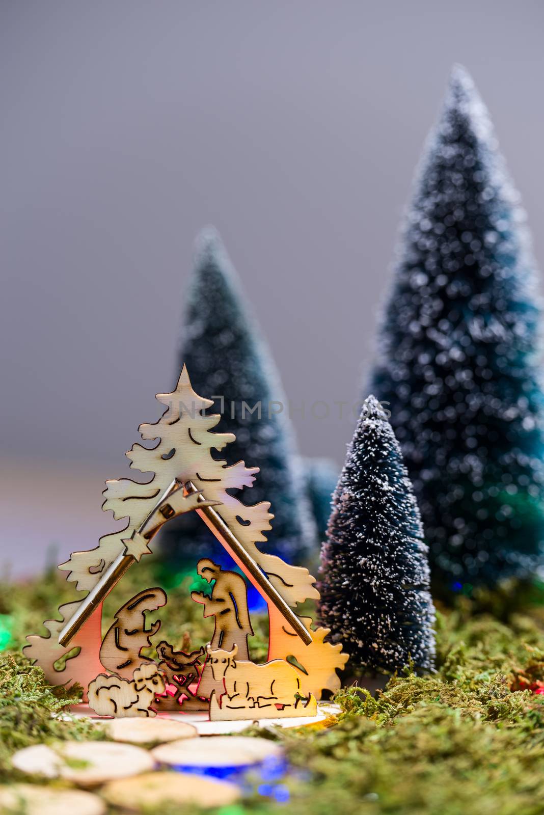 Wooden nativity scene and trees in the presepio