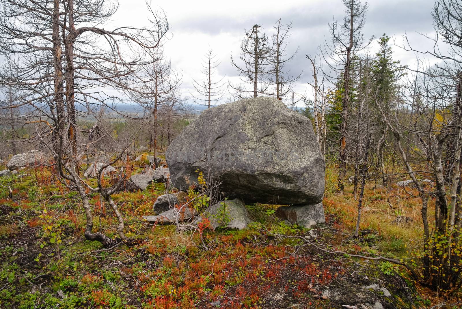 Megalithic stone -"seid",  on mountain Vottovaara, Karelia, Russia